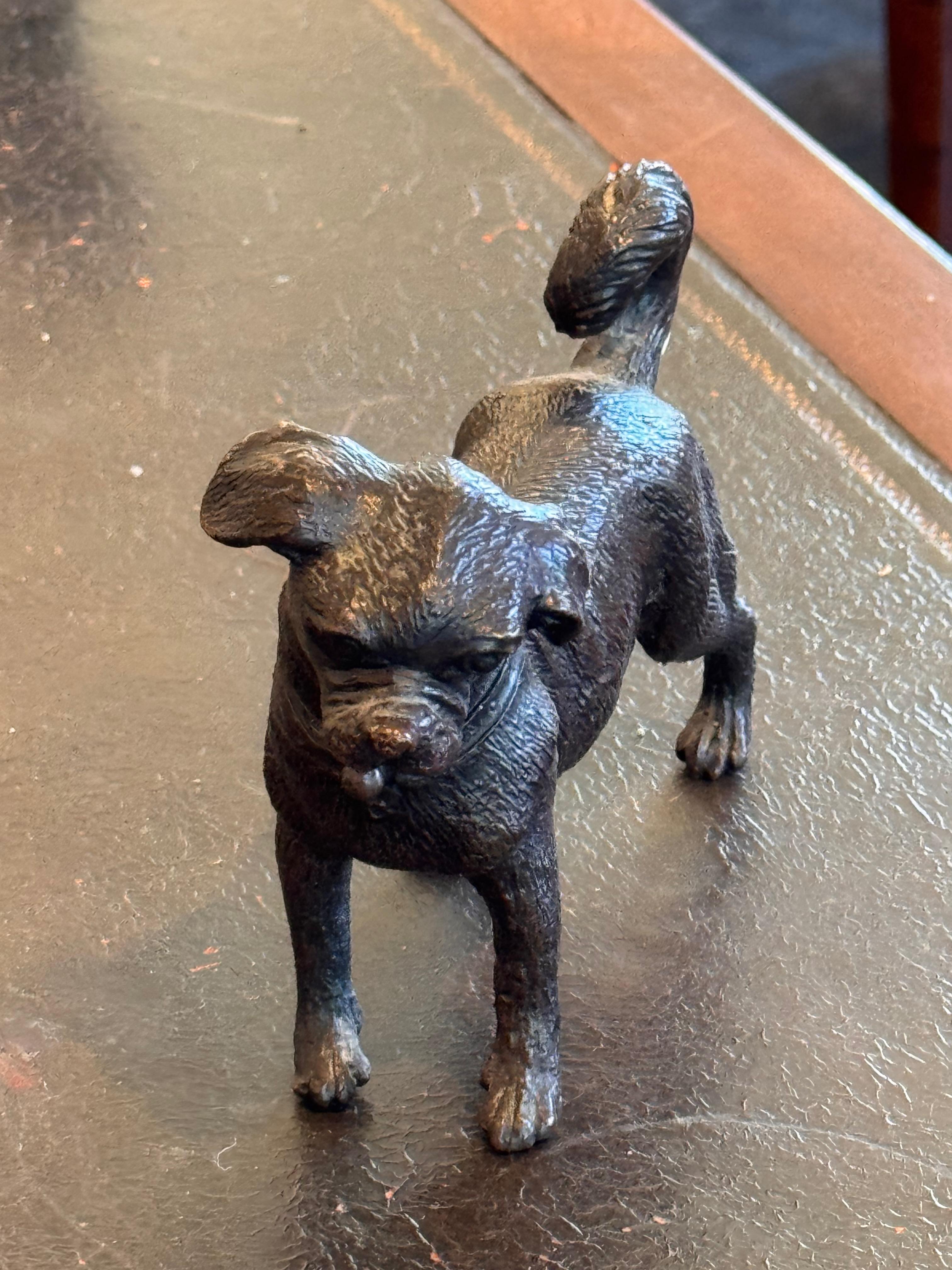Early 20th Century Bronze Dog Sculpture For Sale