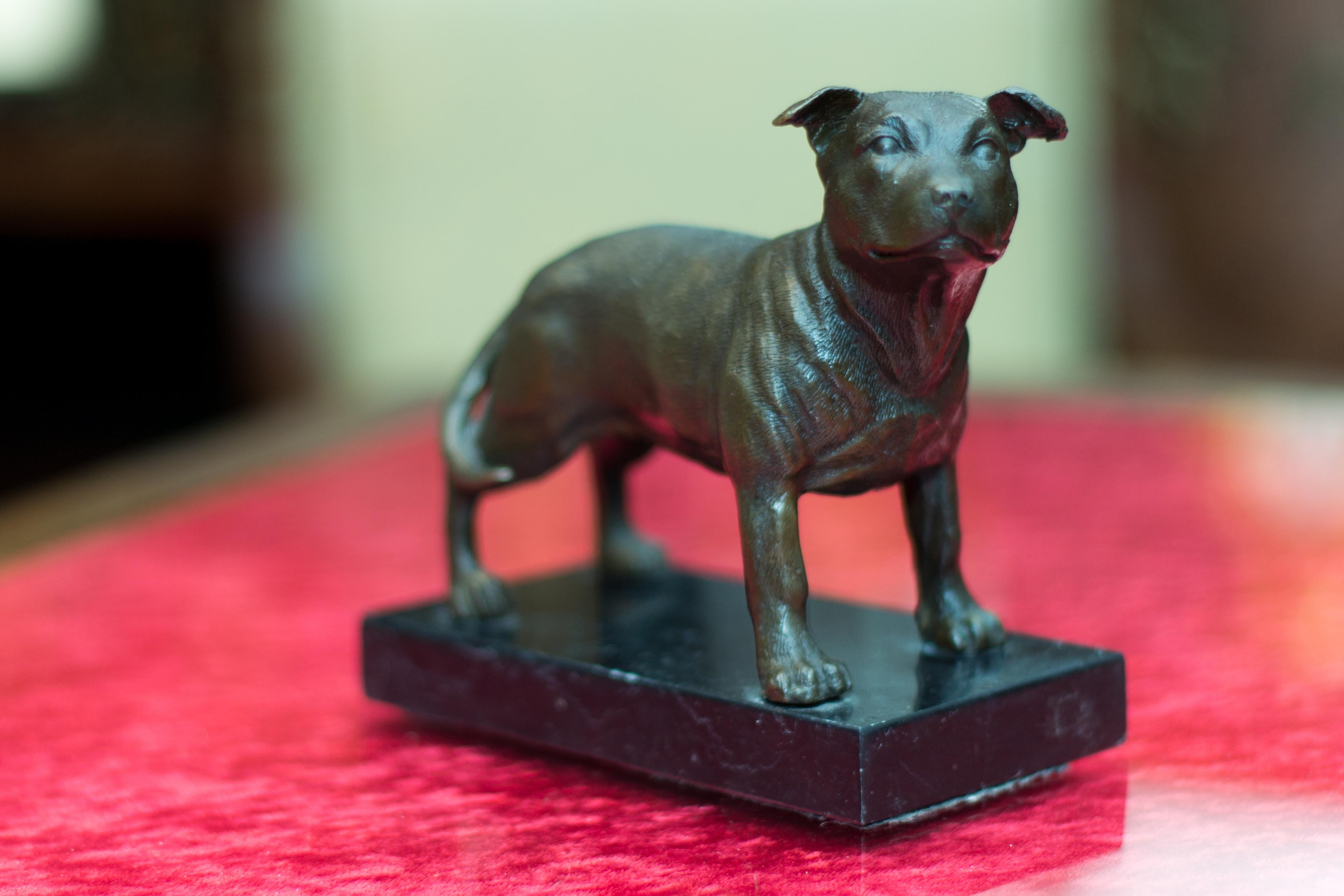 Bronze Dog Sculpture Staffordshire Bull Terrier on Marble 2