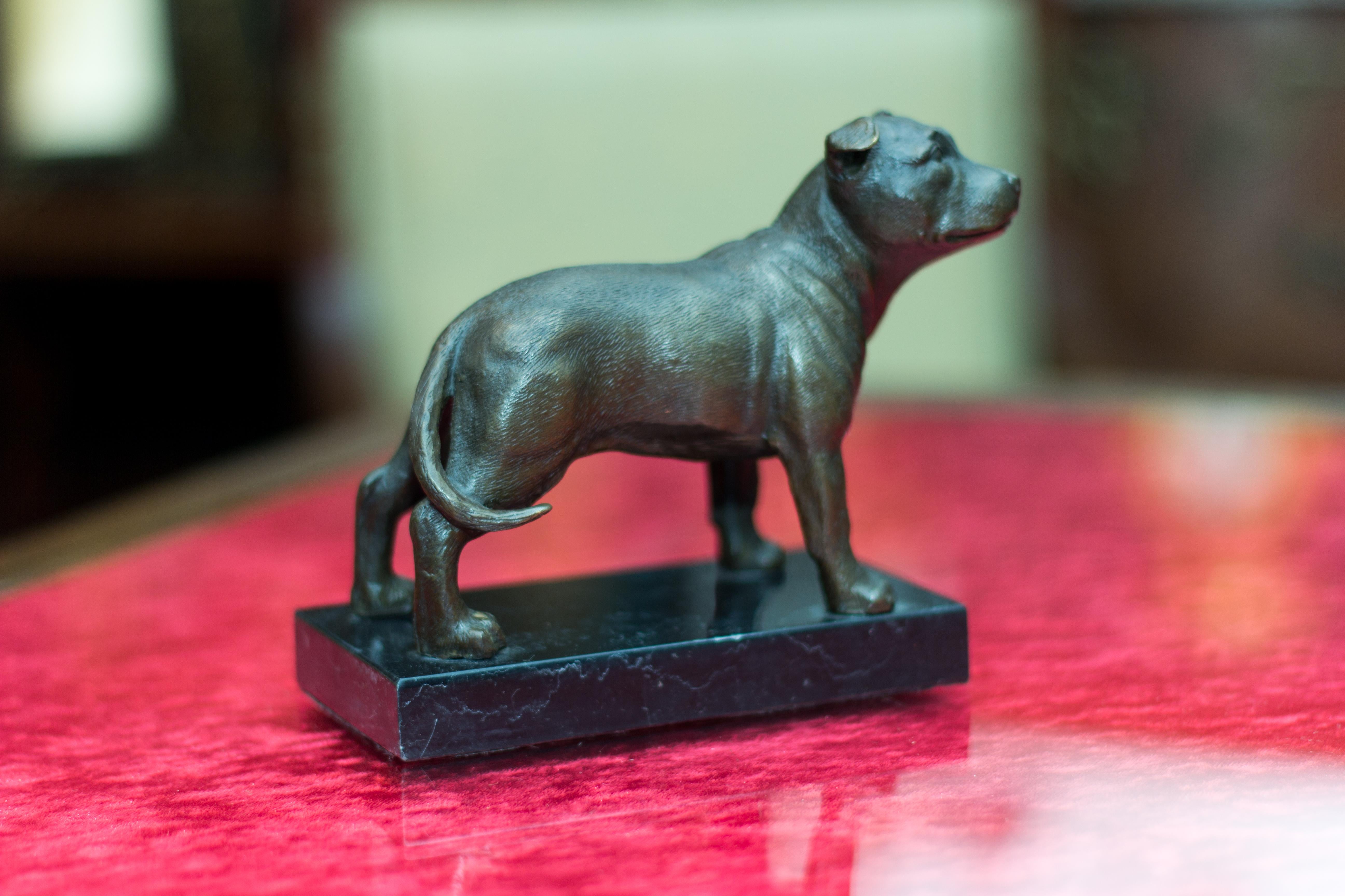 Bronze Dog Sculpture Staffordshire Bull Terrier on Marble 3