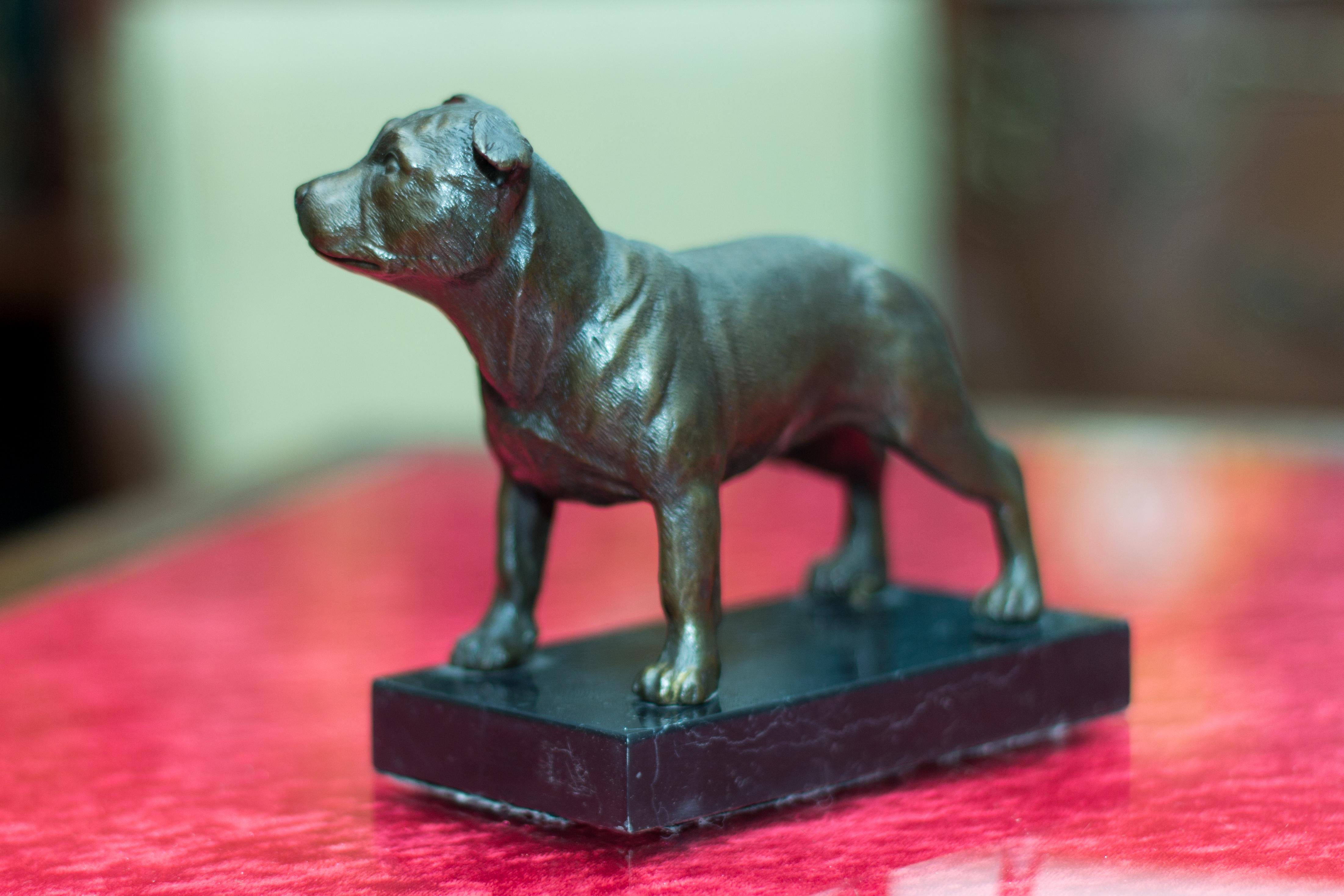 Bronze Dog Sculpture Staffordshire Bull Terrier on Marble 4