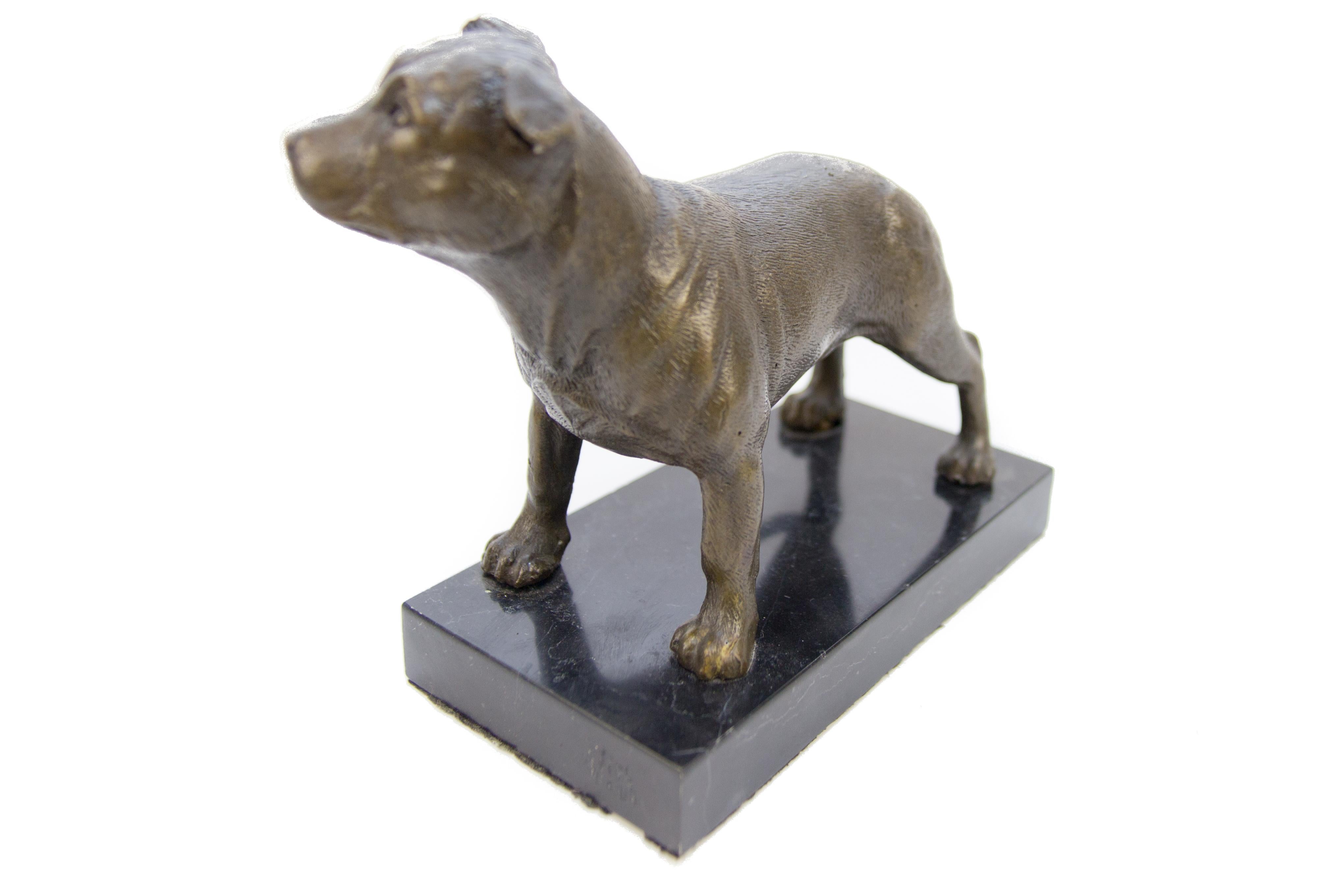 Marvellous bronze sculpture of a Staffordshire Bull Terrier mounted on a black marble base.
A superb gift to a lover of Staffordshire Bull Terriers.
Dimensions: Height 13 cm / 5.11 in, width 7.5 cm / 2.95 in, length 17 cm / 6.69 in.
    