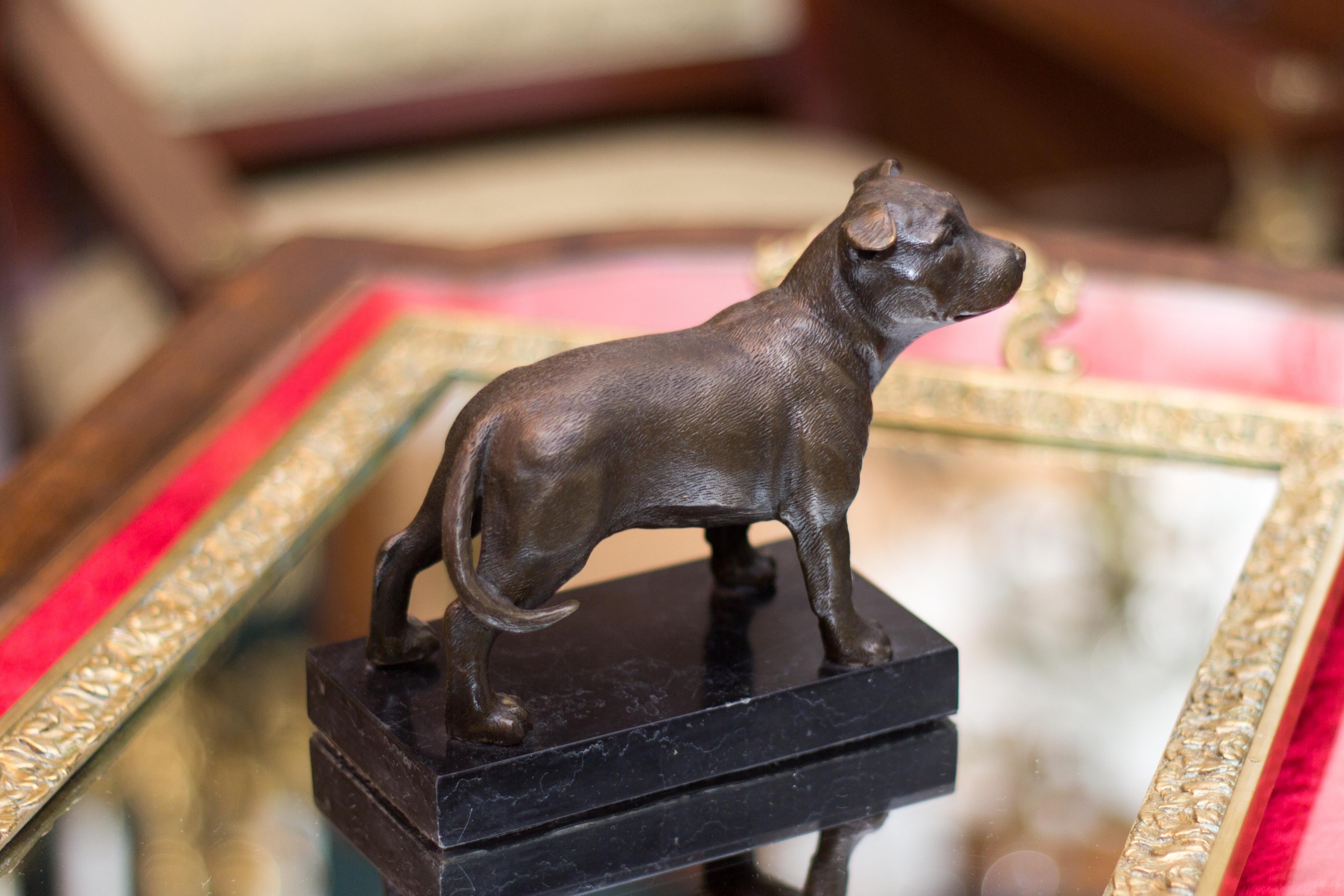 american staffordshire terrier statue