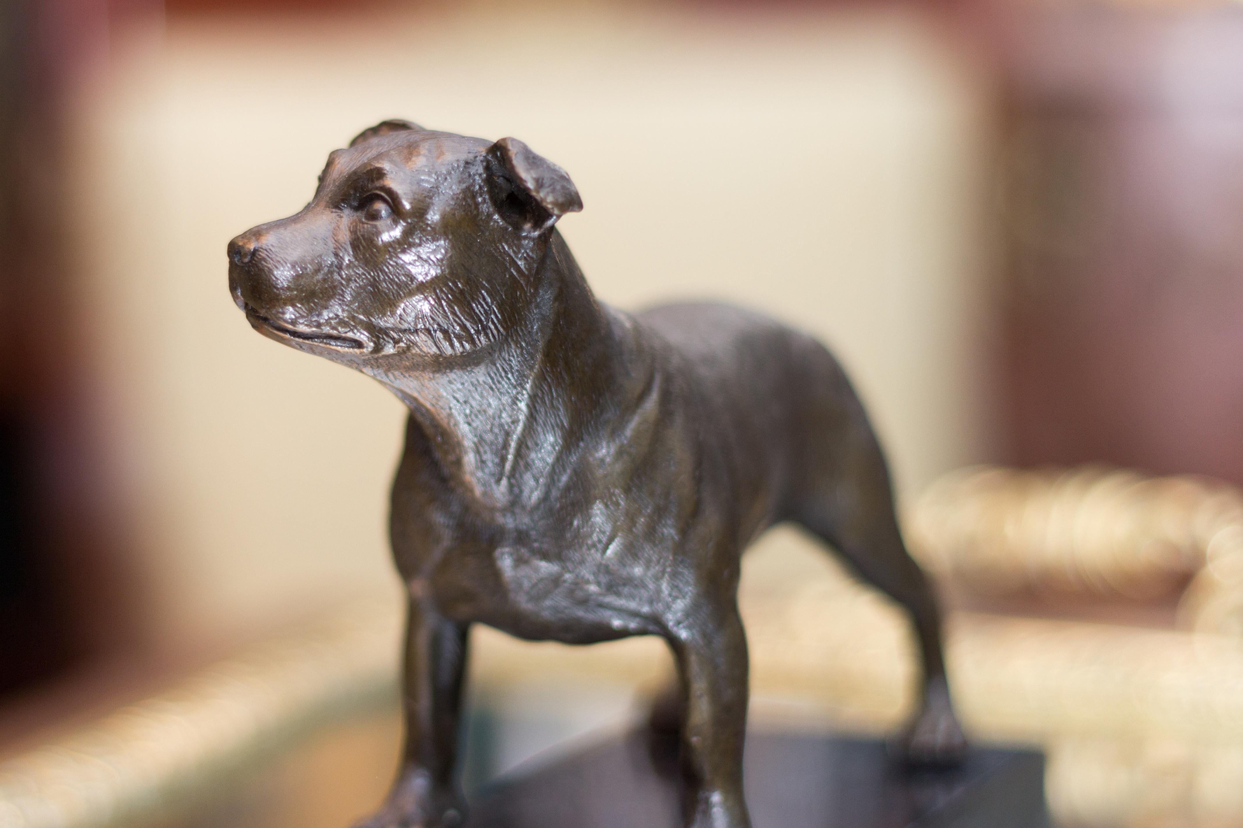 Bronze Dog Sculpture Staffordshire Bull Terrier on Marble In Good Condition In Barntrup, DE