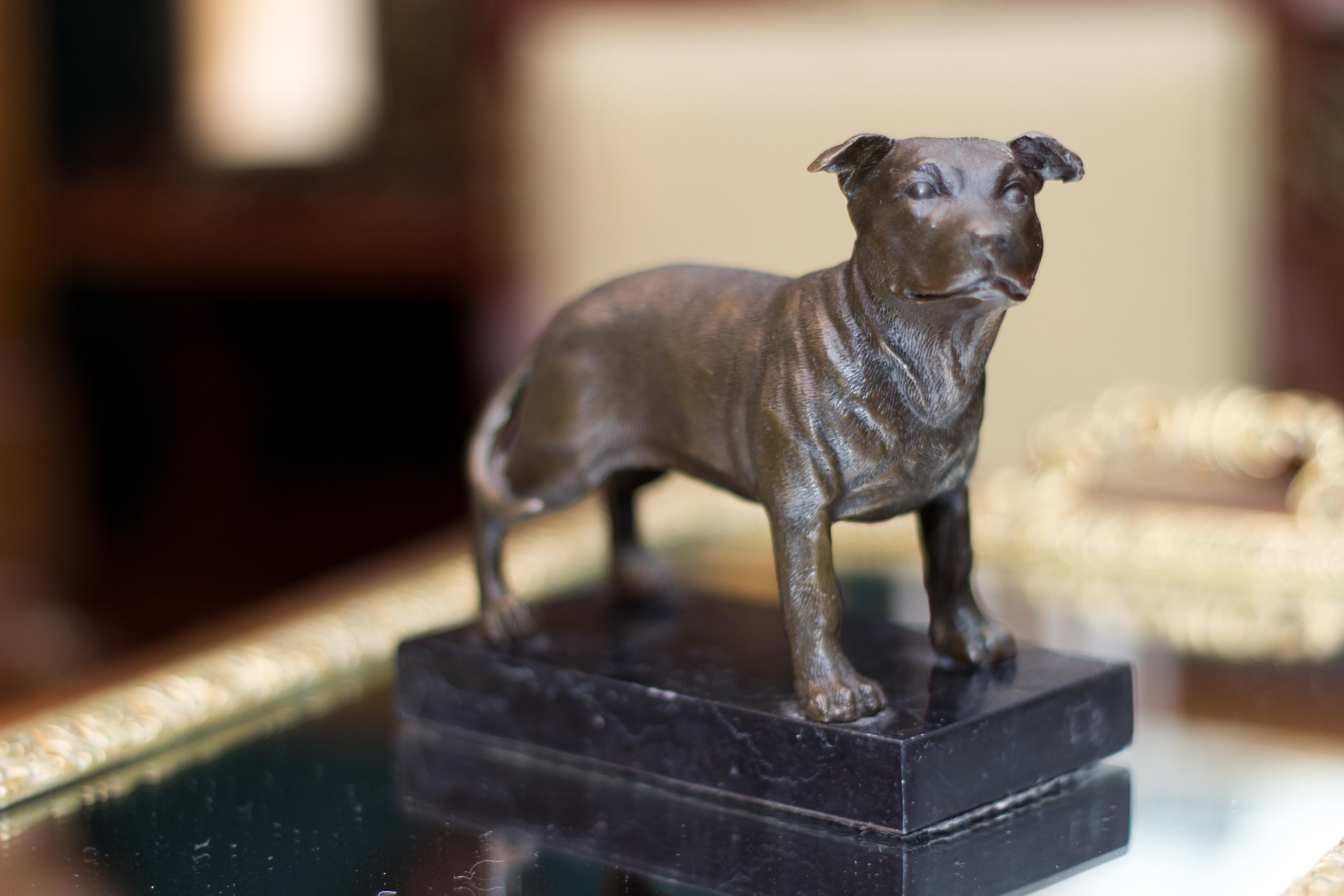 Bronze Dog Sculpture Staffordshire Bull Terrier on Marble 1