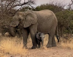 Bronze Elephant Herd Sculpture