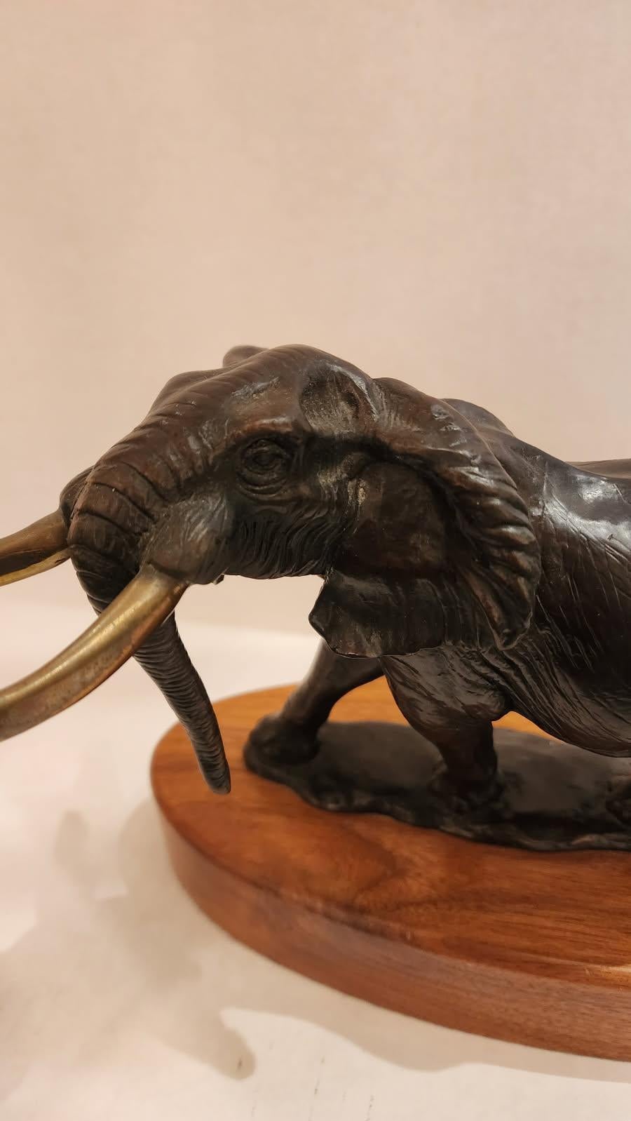 Bronzo Scultura di elefante in bronzo di David Shaefer in vendita