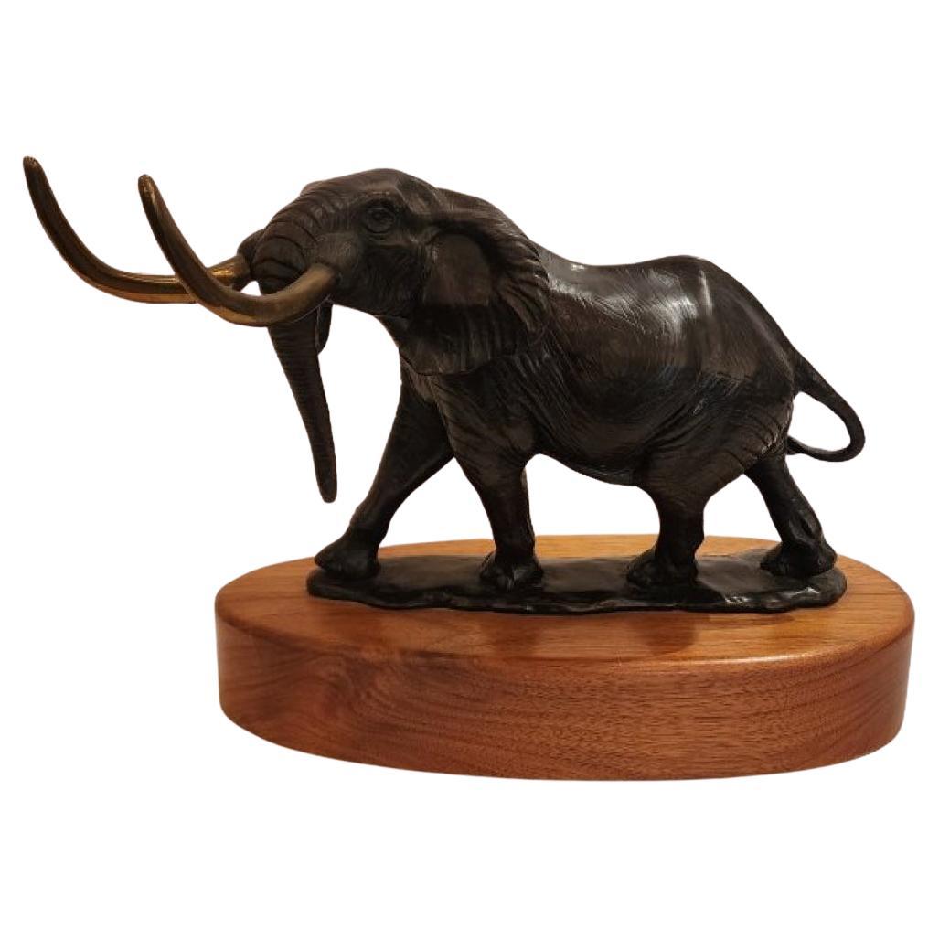 Sculpture d'éléphant en bronze de David Shaefer