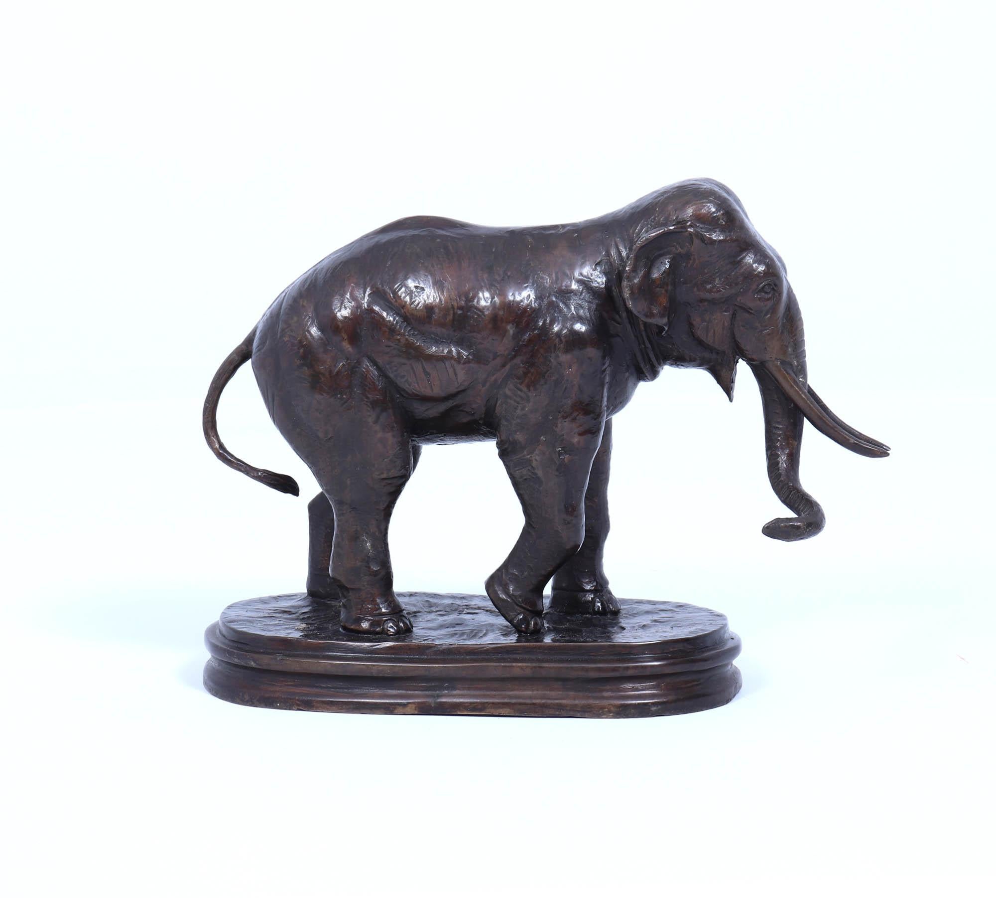 Bronzo Scultura di elefante in bronzo del 1930 circa in vendita