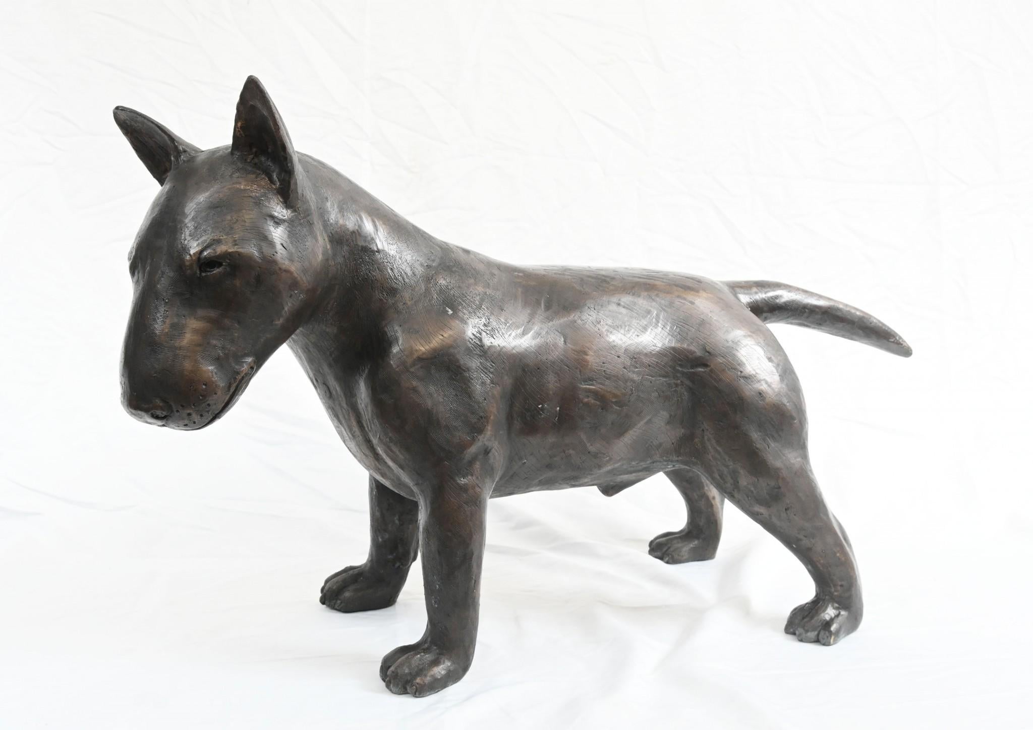 Statue en bronze de Bull Terrier Anglais grandeur nature 1
