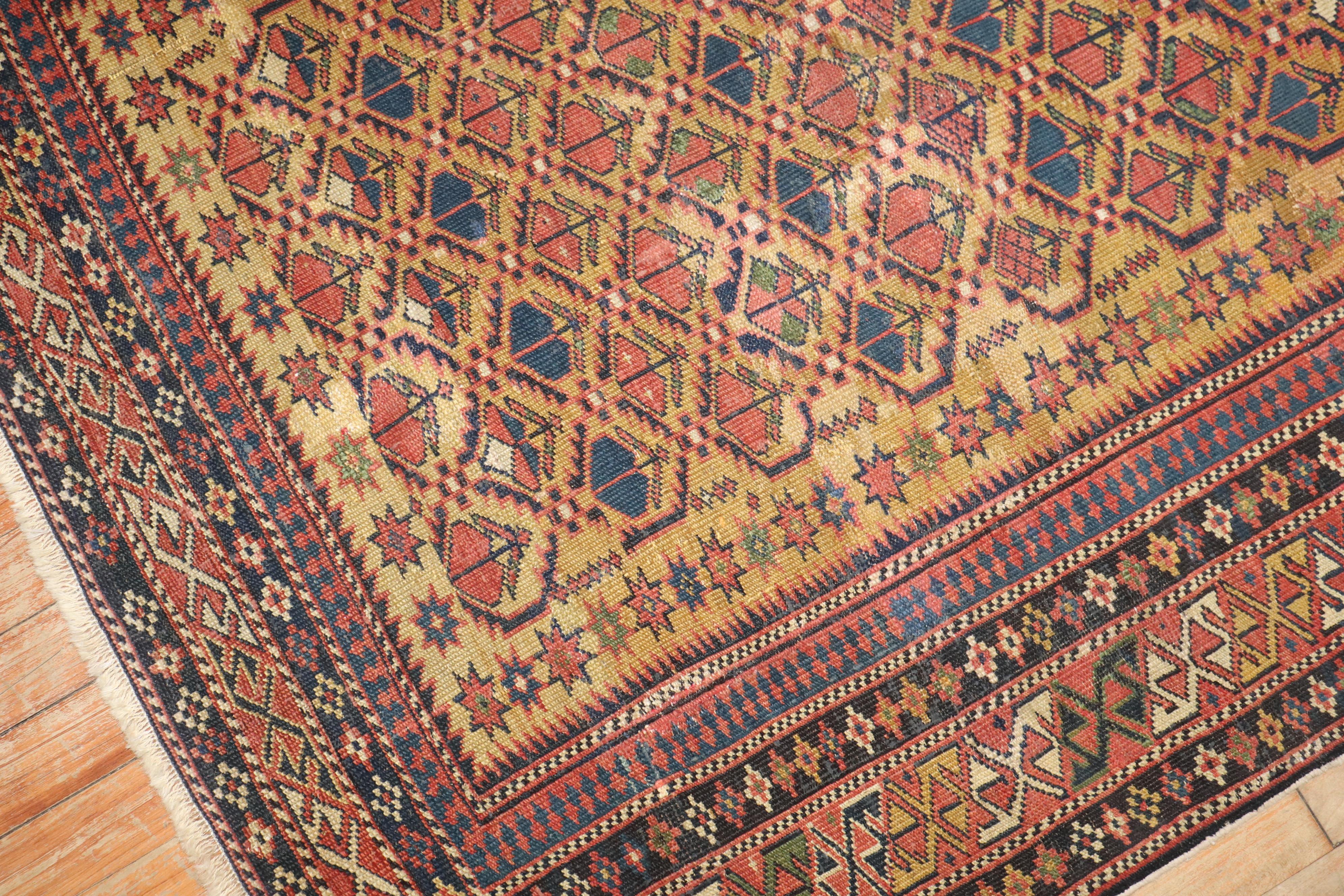 Mustard Field Quadratischer antiker kaukasischer Shirvan-Teppich aus dem späten 19. Jahrhundert (Kaukasisch) im Angebot
