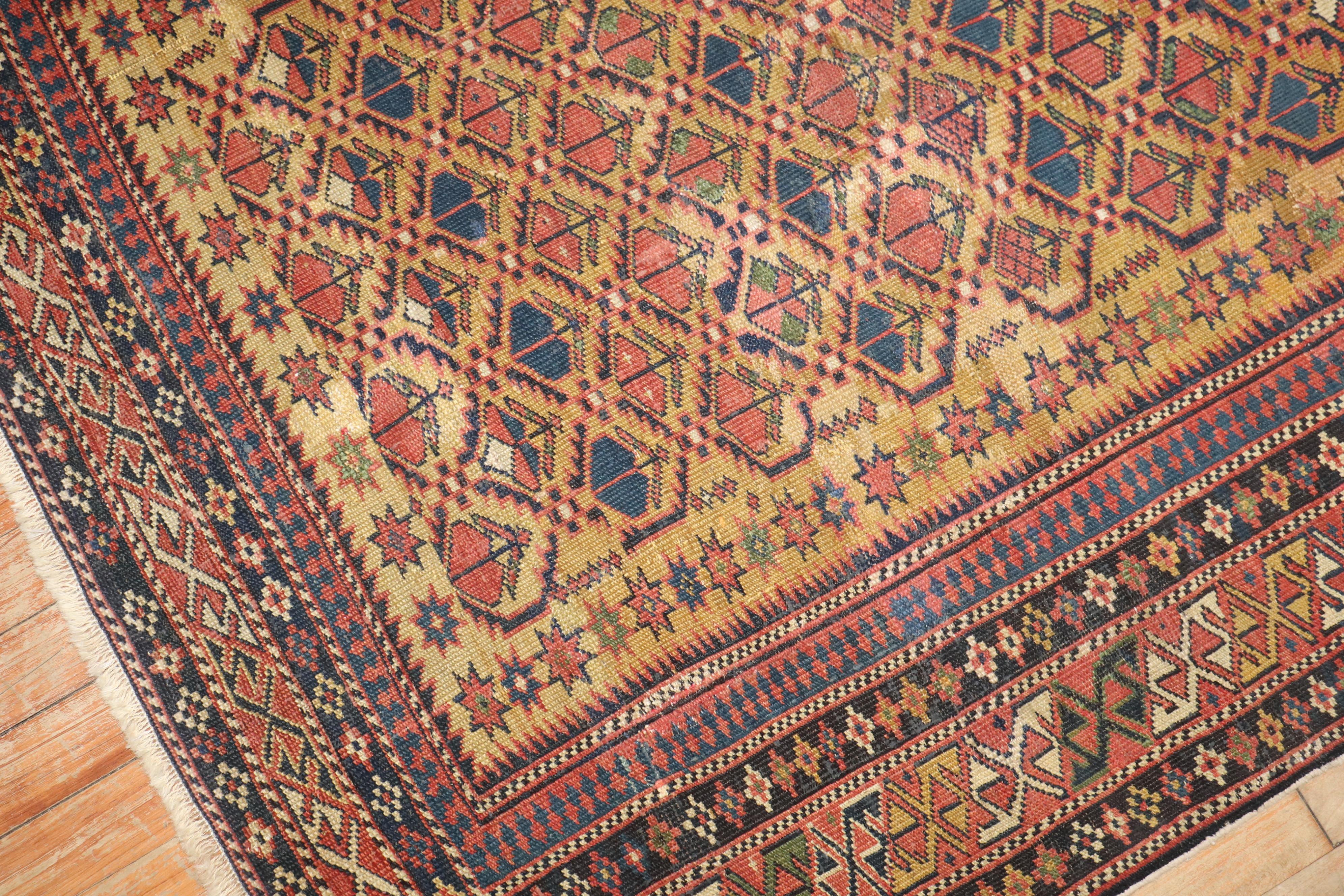 Kazak Mustard Field Square Antique Caucasian Shirvan Late 19th Century Rug For Sale