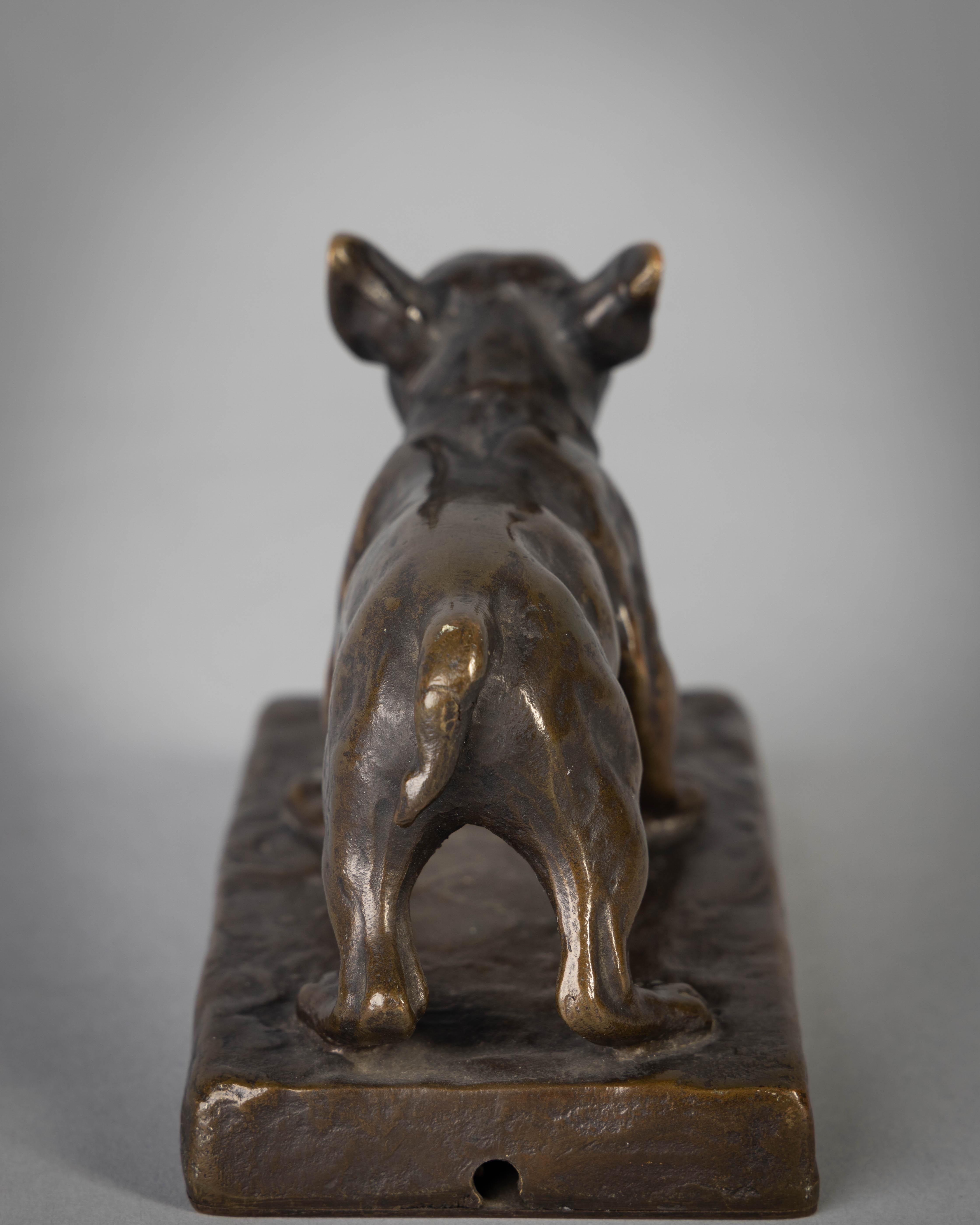 Austrian Bronze Figure of a Bulldog, by Friedrich Gornik For Sale