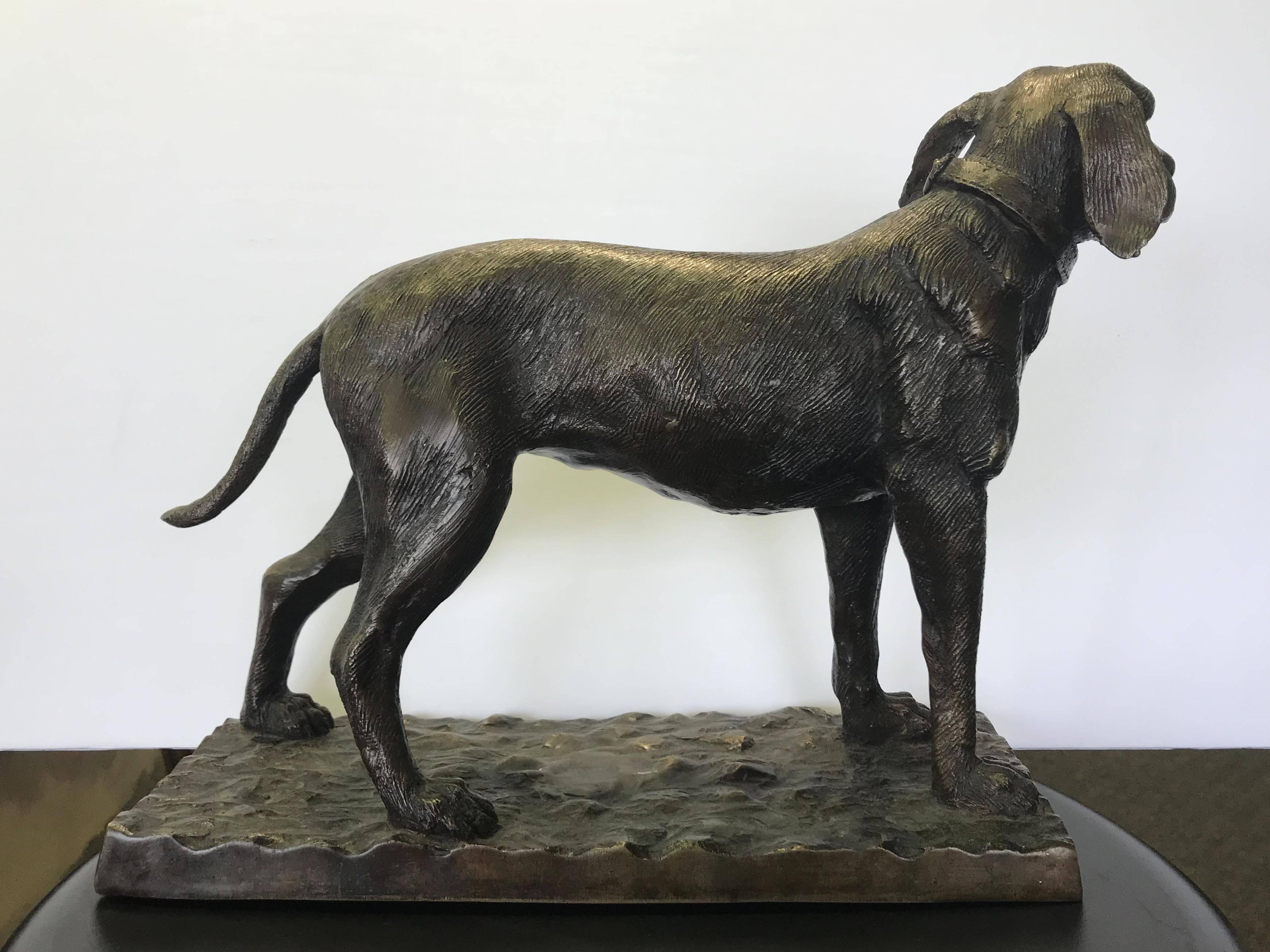 A wonderful bronze figure of a standing hound dog with good detailing. No signature visible.