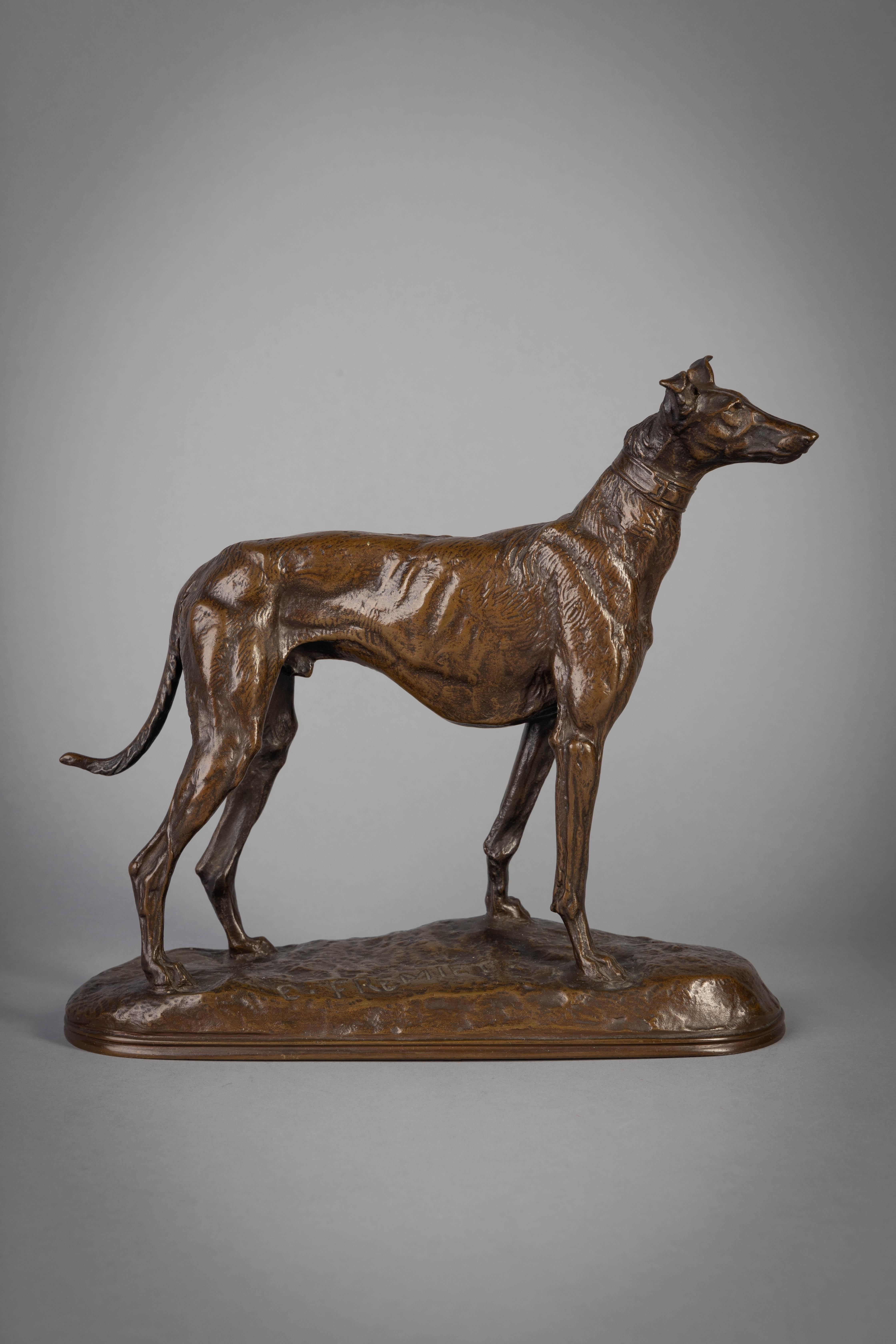 French Bronze Figure of a Standing Greyhound, by Emmanuel Fremiet, circa 1880