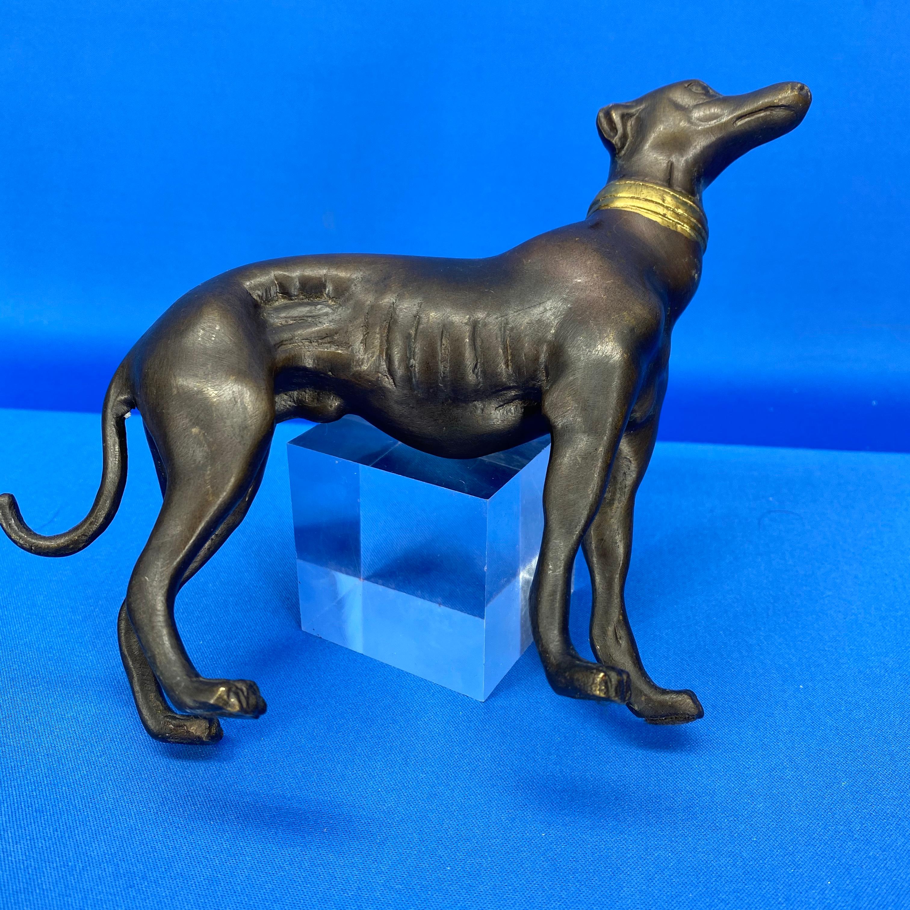 Bronze Figure Of Greyhound With Gilded Collar 4