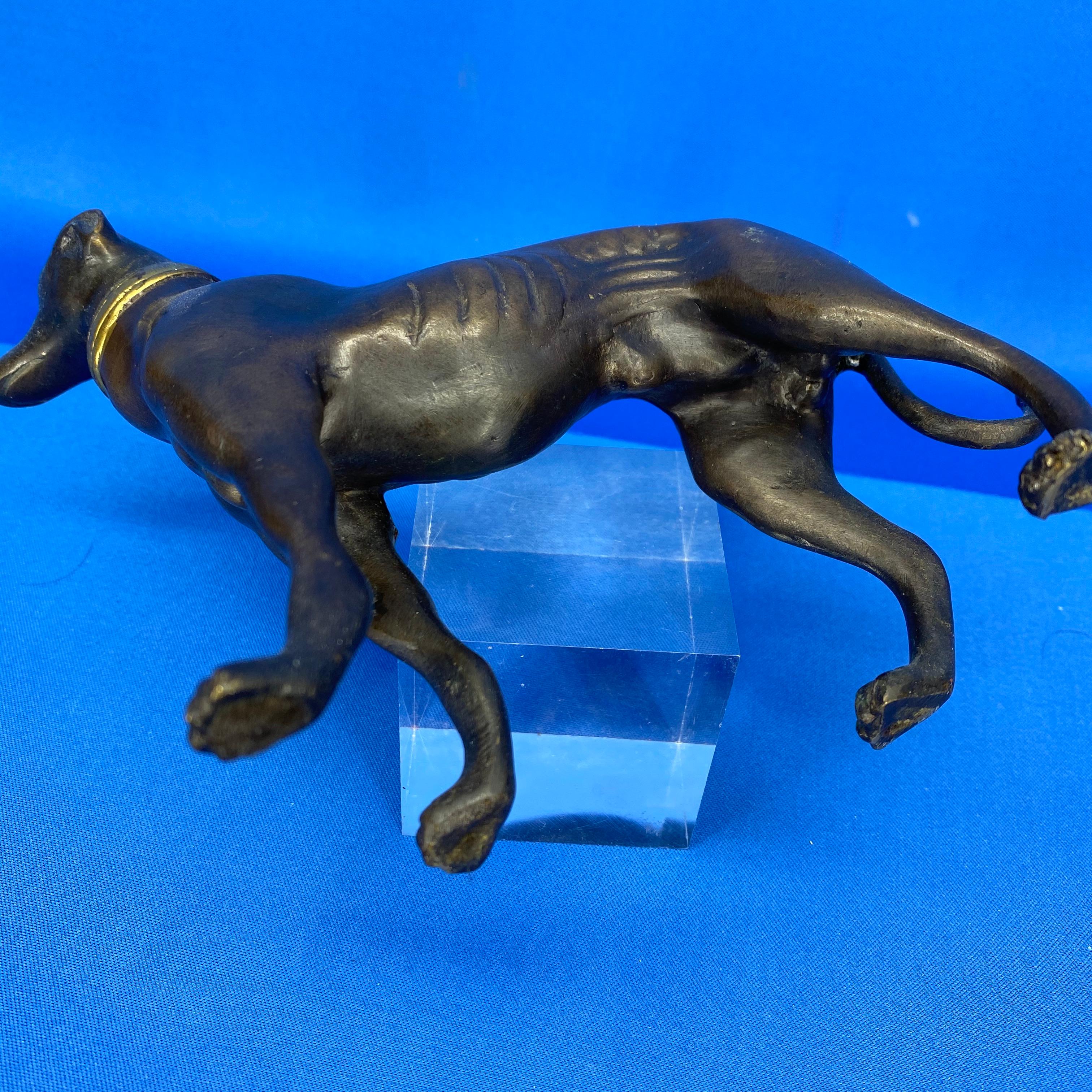 Bronze Figure Of Greyhound With Gilded Collar 5