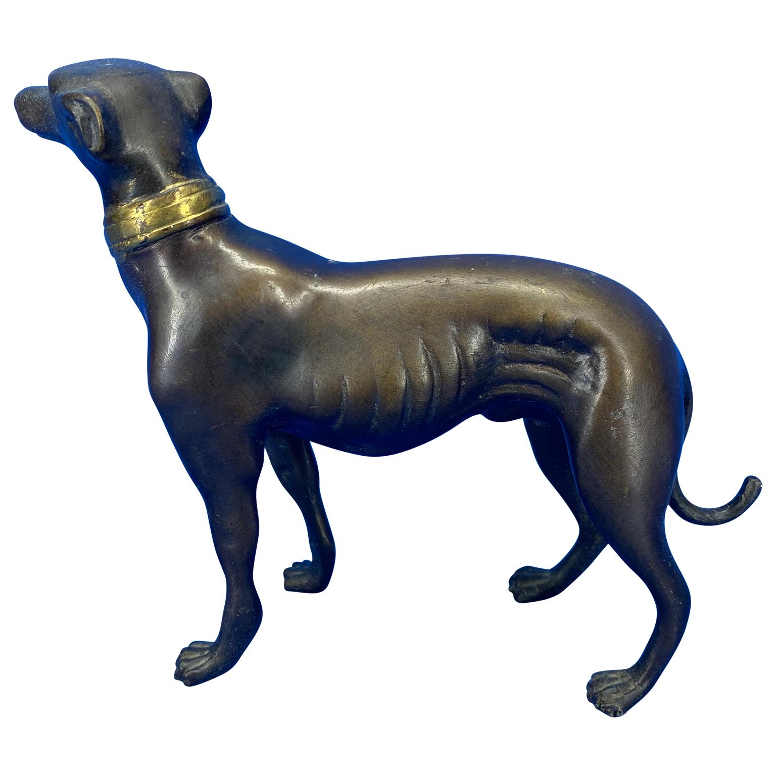 Patinated bronze sculpture of standing greyhound with polished bronze collar.