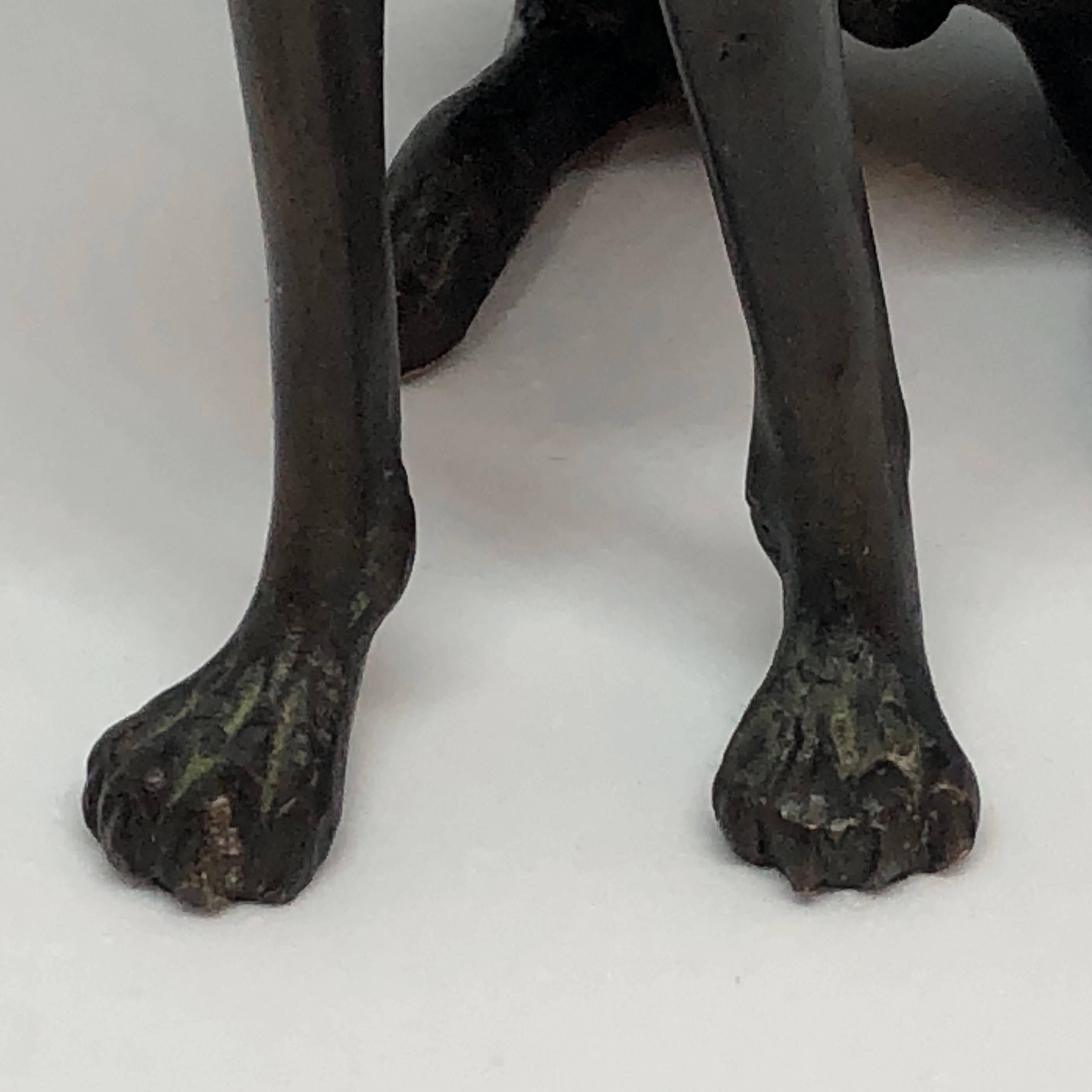 Bronze Figure of Sitting Greyhound With Gilded Collar 6
