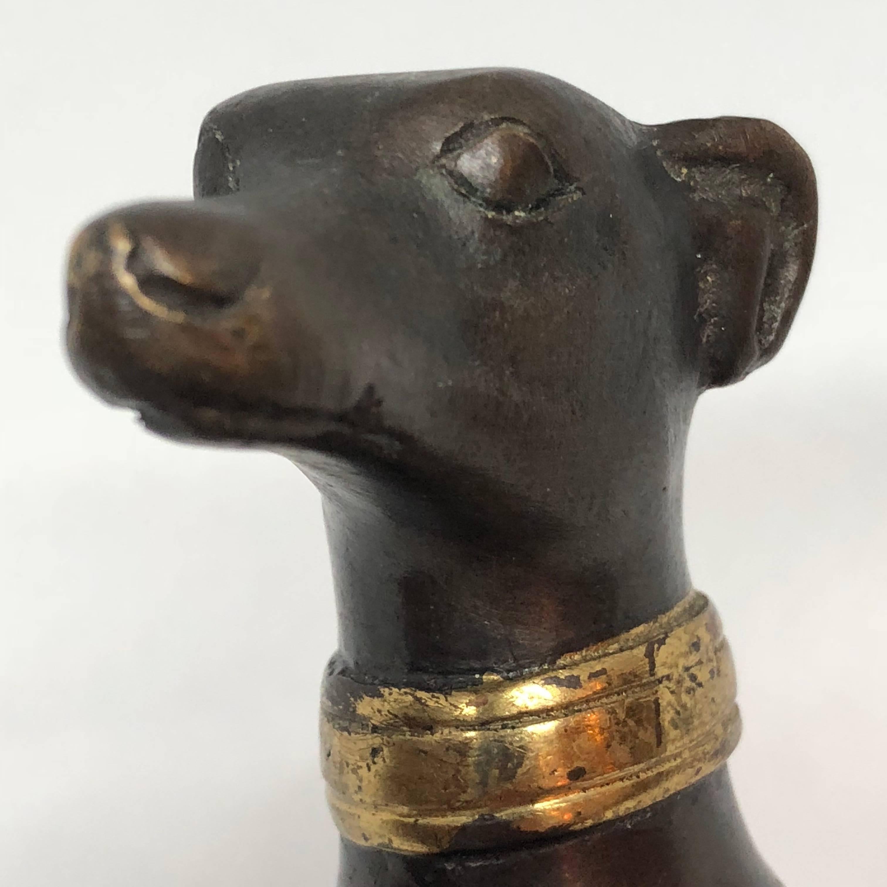 Bronze Figure of Sitting Greyhound With Gilded Collar 10