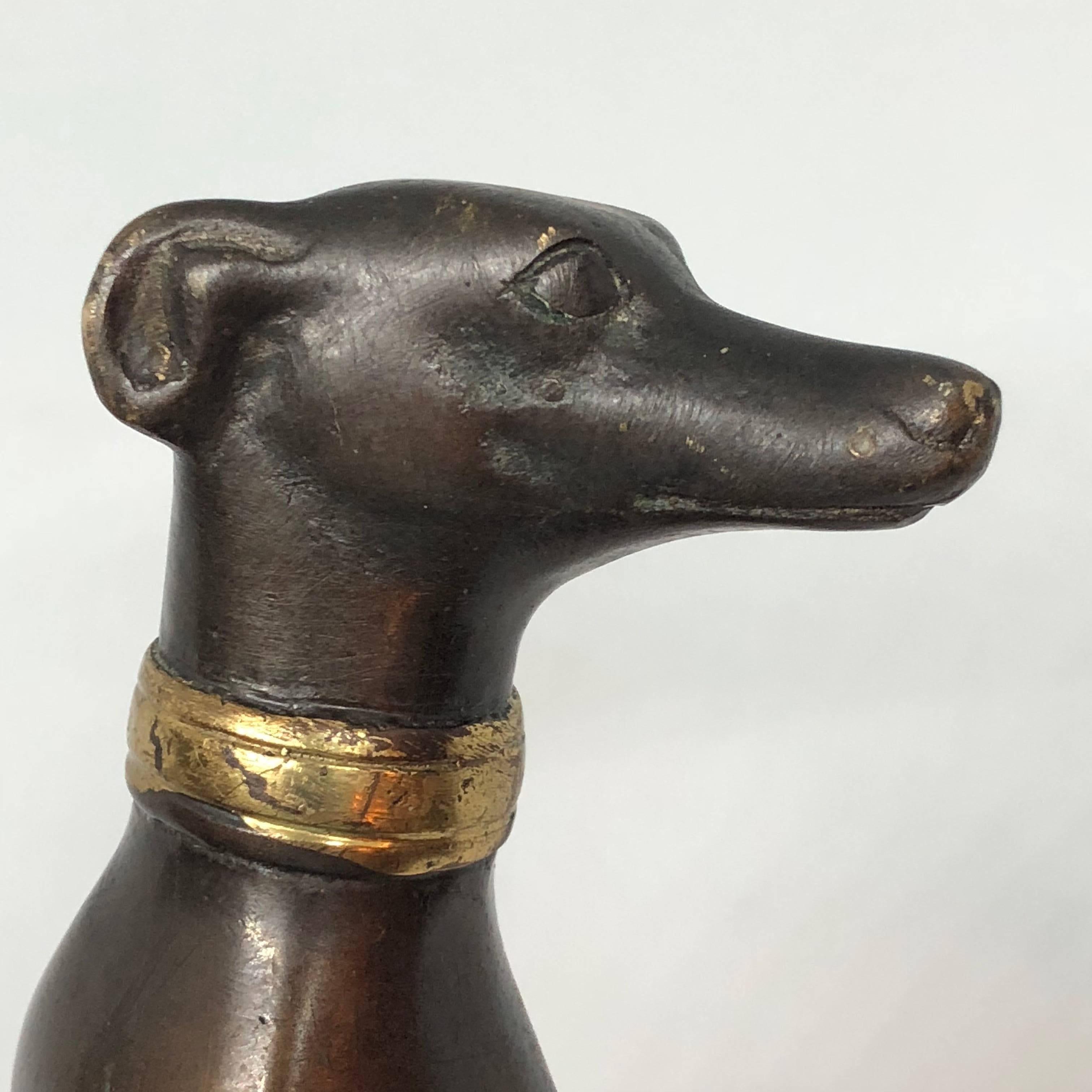 Bronze Figure of Sitting Greyhound With Gilded Collar 12