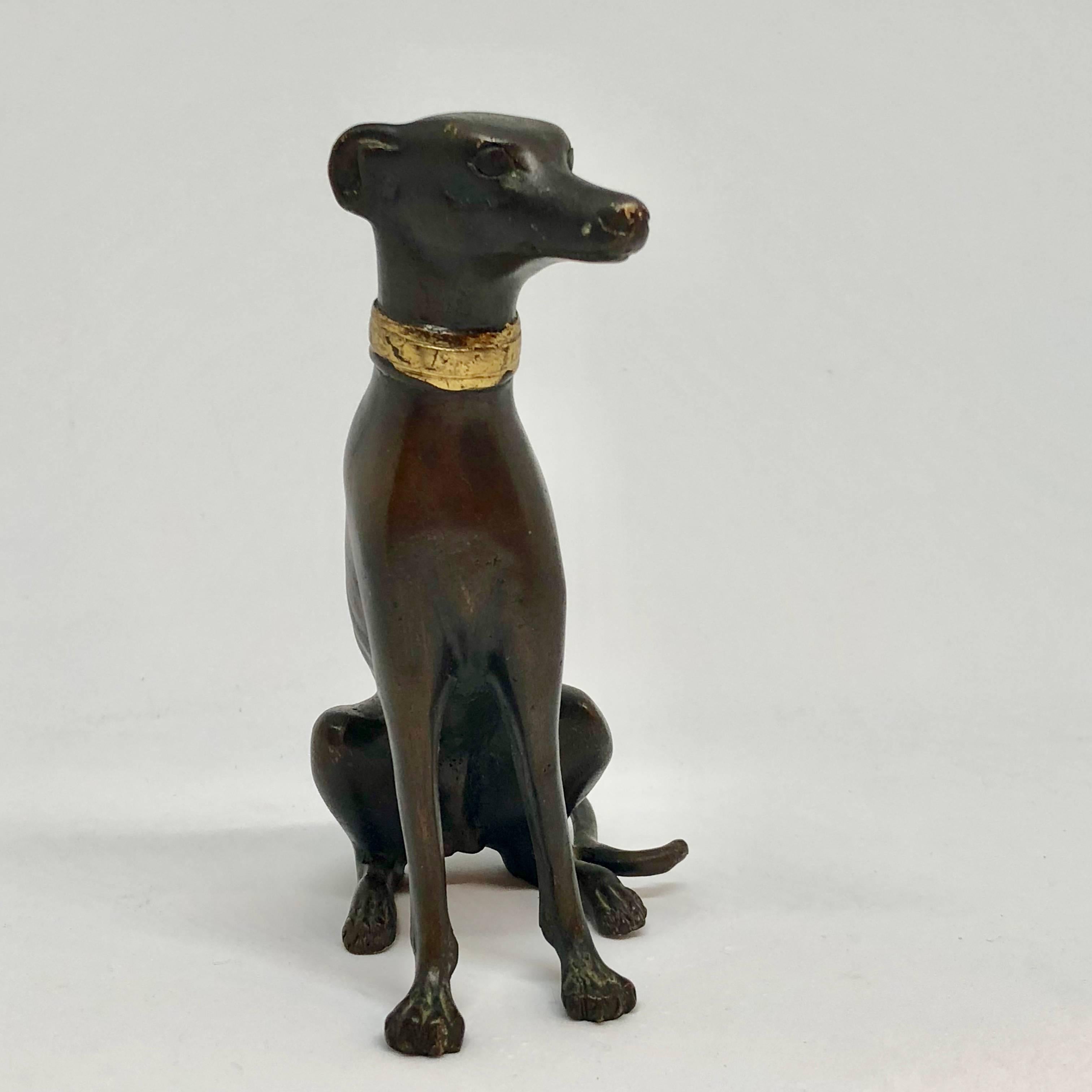 Bronze Figure of Sitting Greyhound With Gilded Collar In Good Condition In Haddonfield, NJ