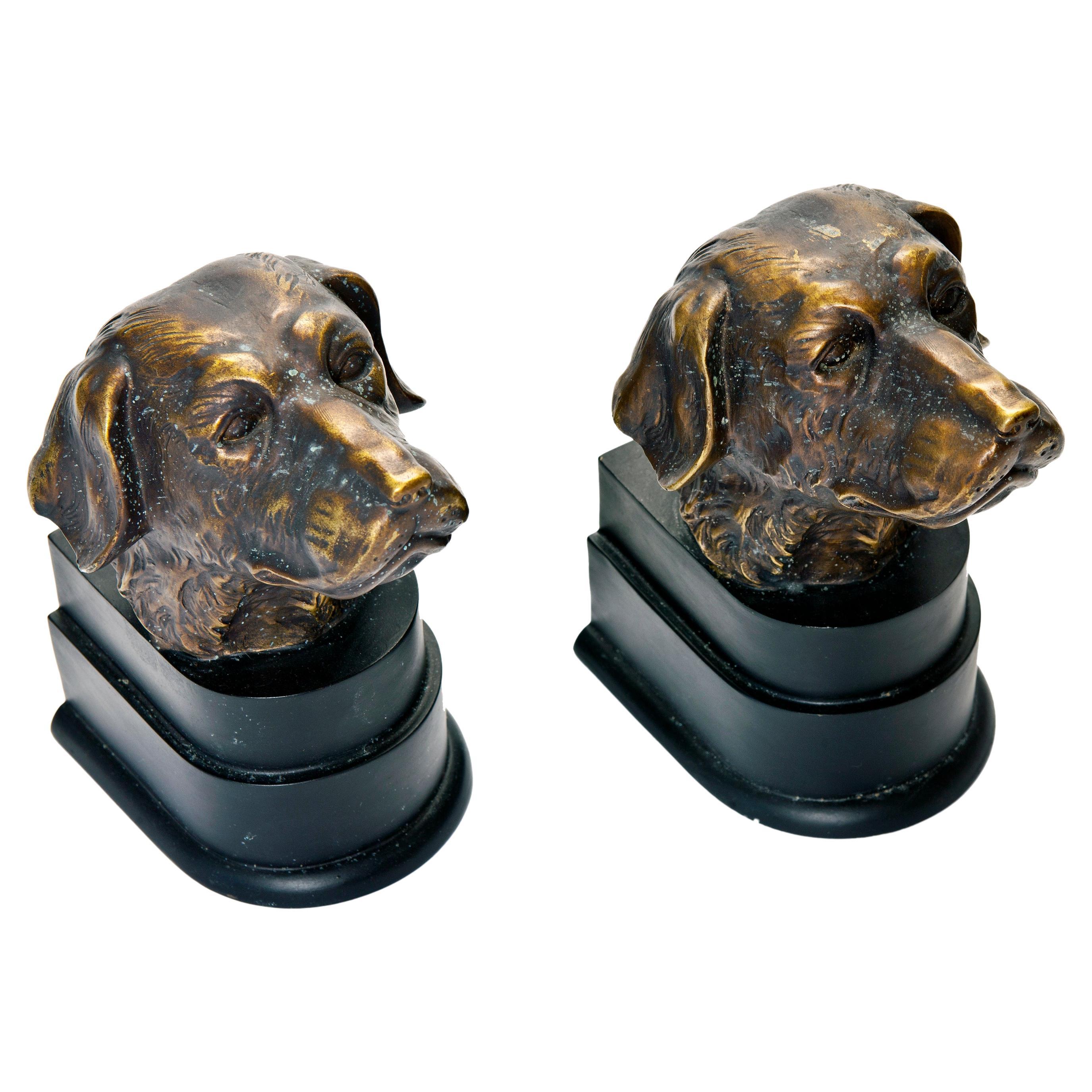 Beautiful pair of retrievers head bookends on black pedestals.
Cold cast with a bronze finish. New felt bottoms.