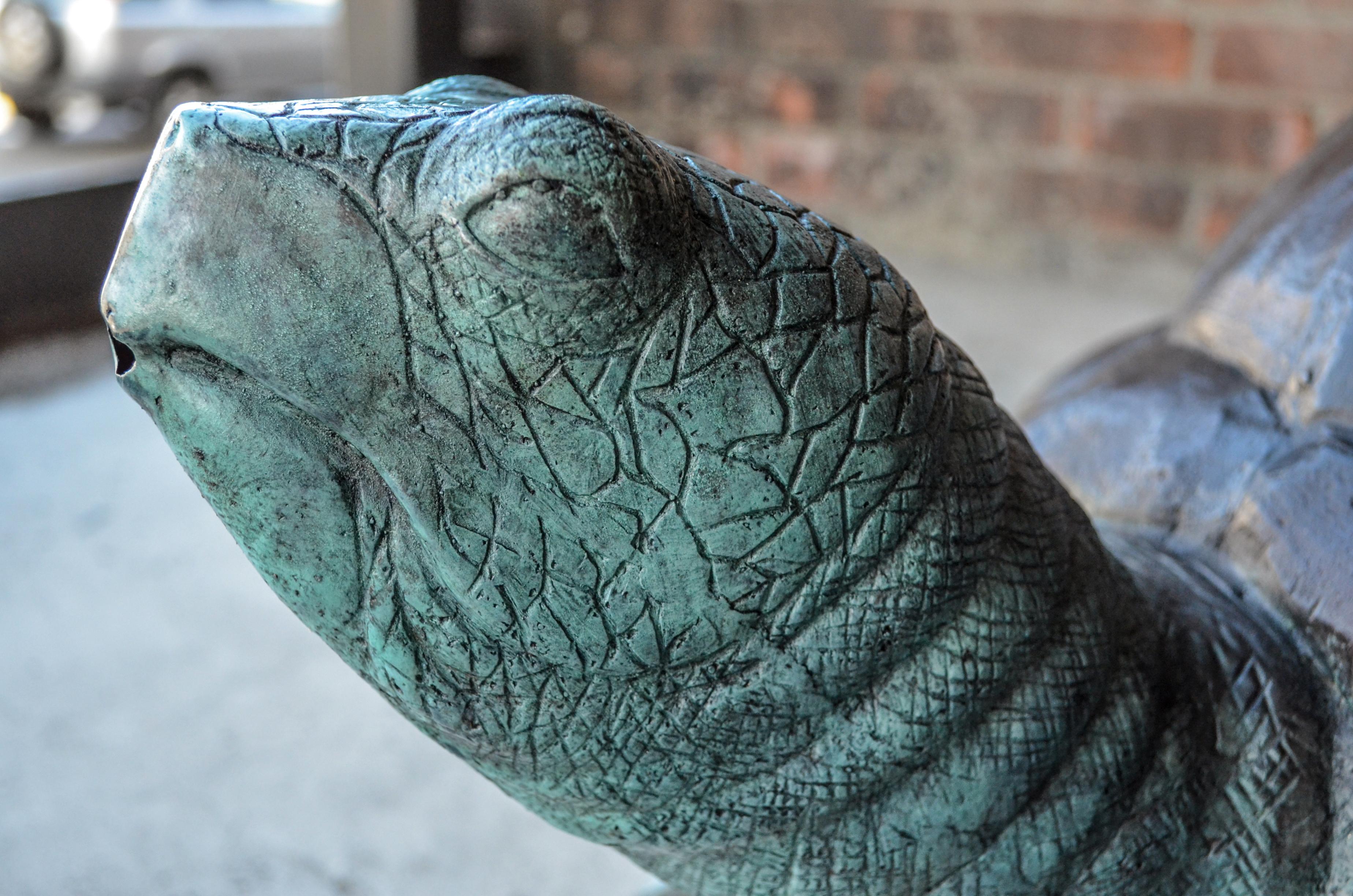 Sculpture de tortue en bronze pour fontaine de jardin en vente 5
