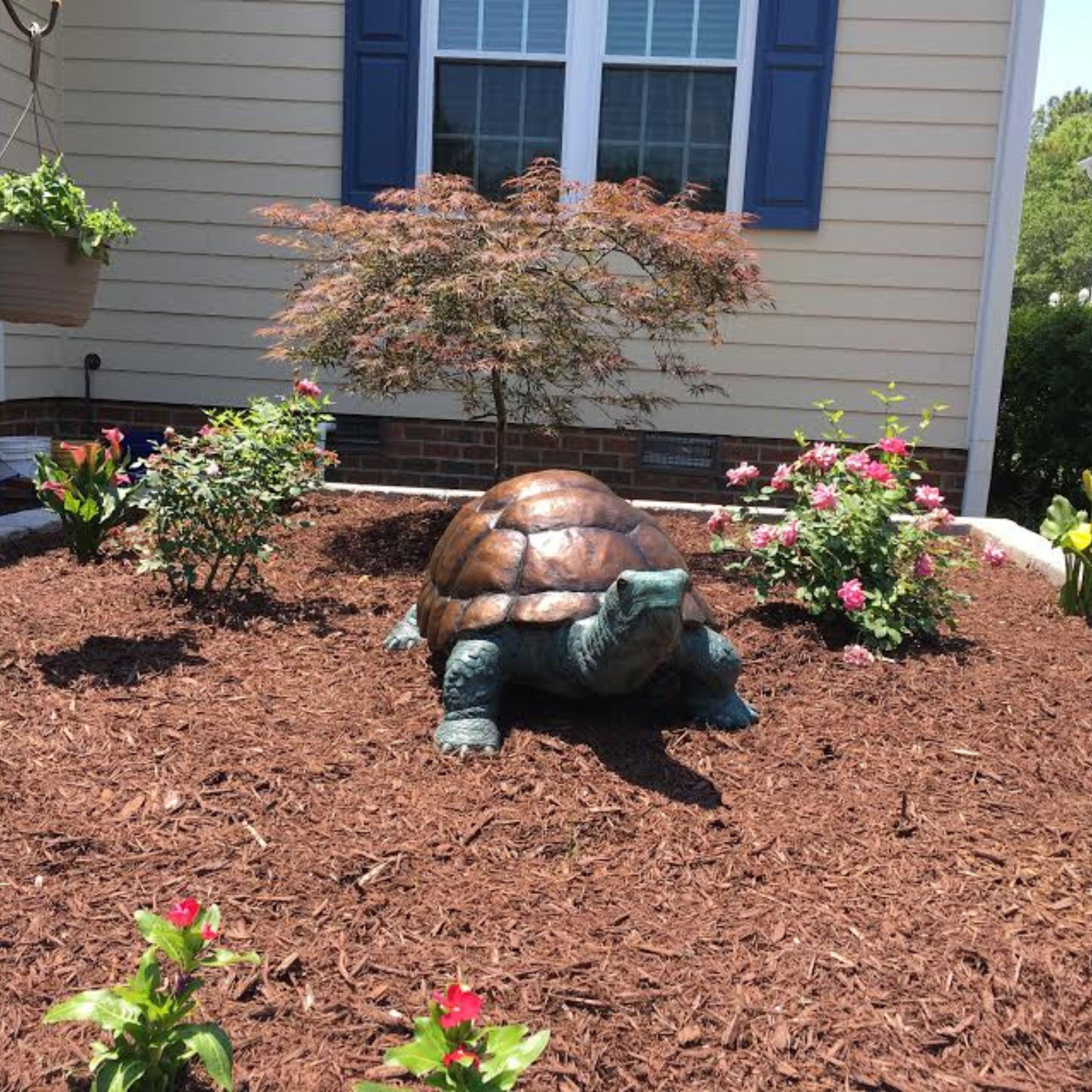 Cette adorable statue de tortue en bronze à la cire perdue est un ajout étonnant à notre collection avec sa carapace à la texture réaliste et ses caractéristiques réalistes. Présentée dans notre collection d'animaux en abondance, cette délicieuse