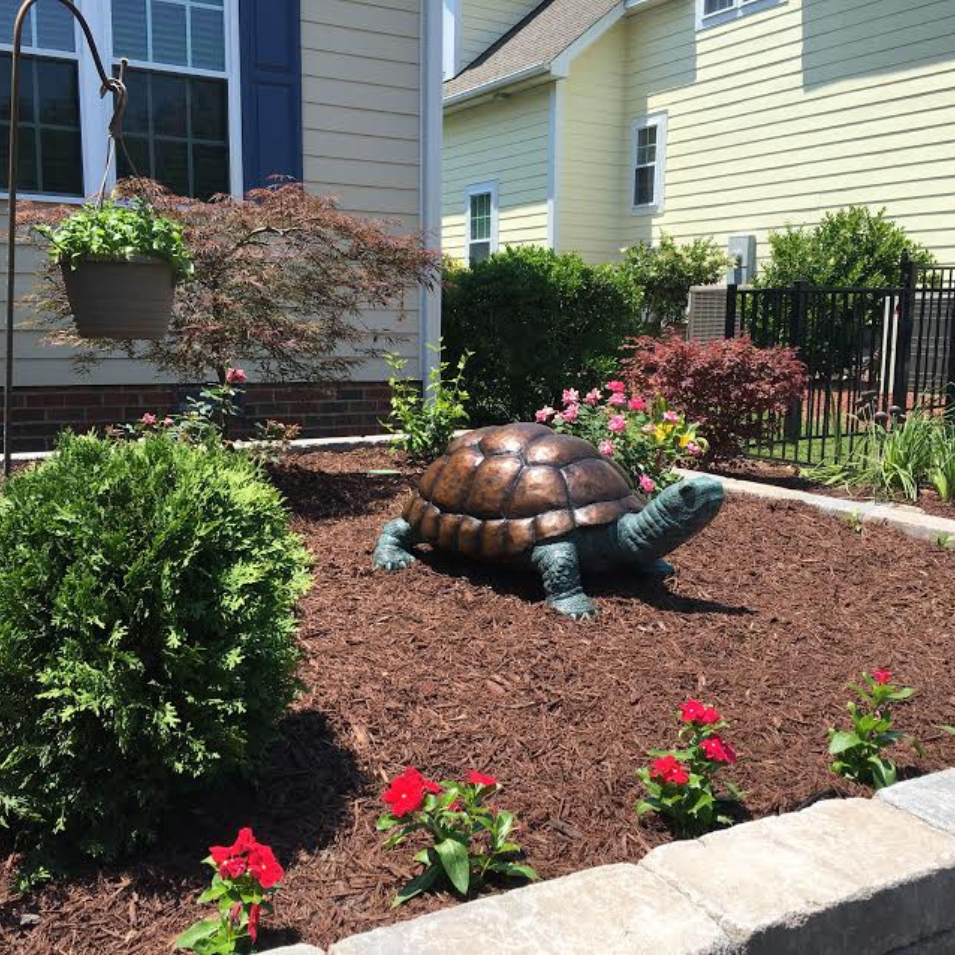 large outdoor turtle statue