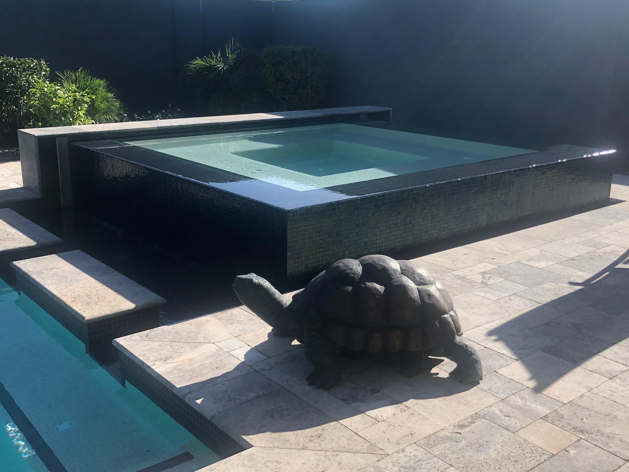 Sculpture de tortue en bronze pour fontaine de jardin en vente 1