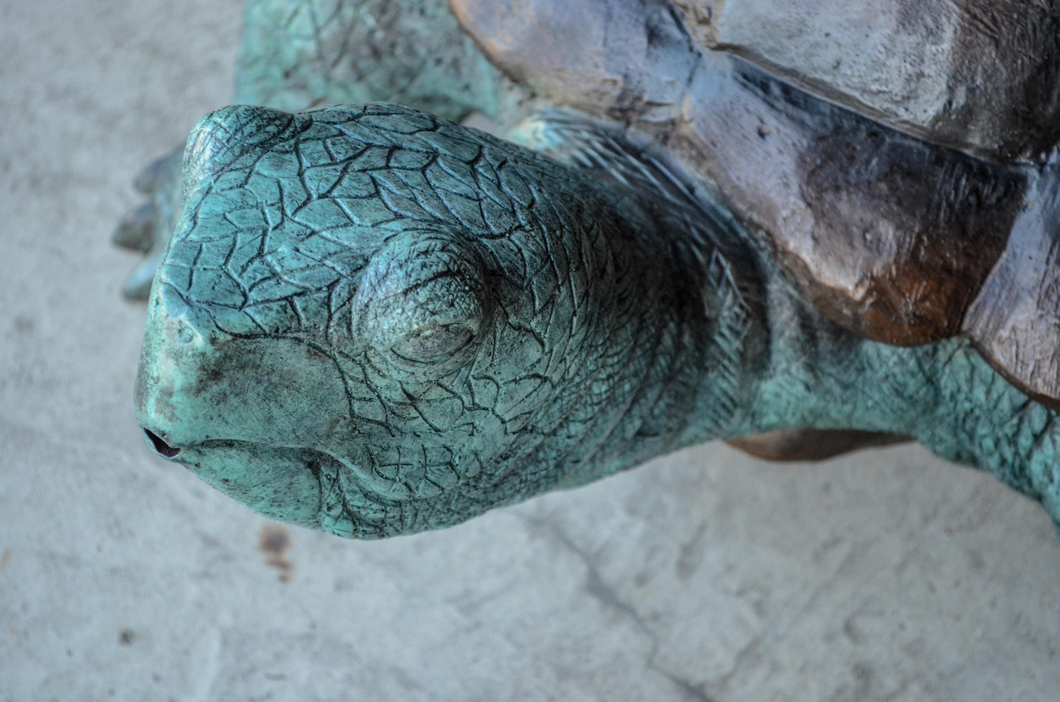 Sculpture de tortue en bronze pour fontaine de jardin en vente 3