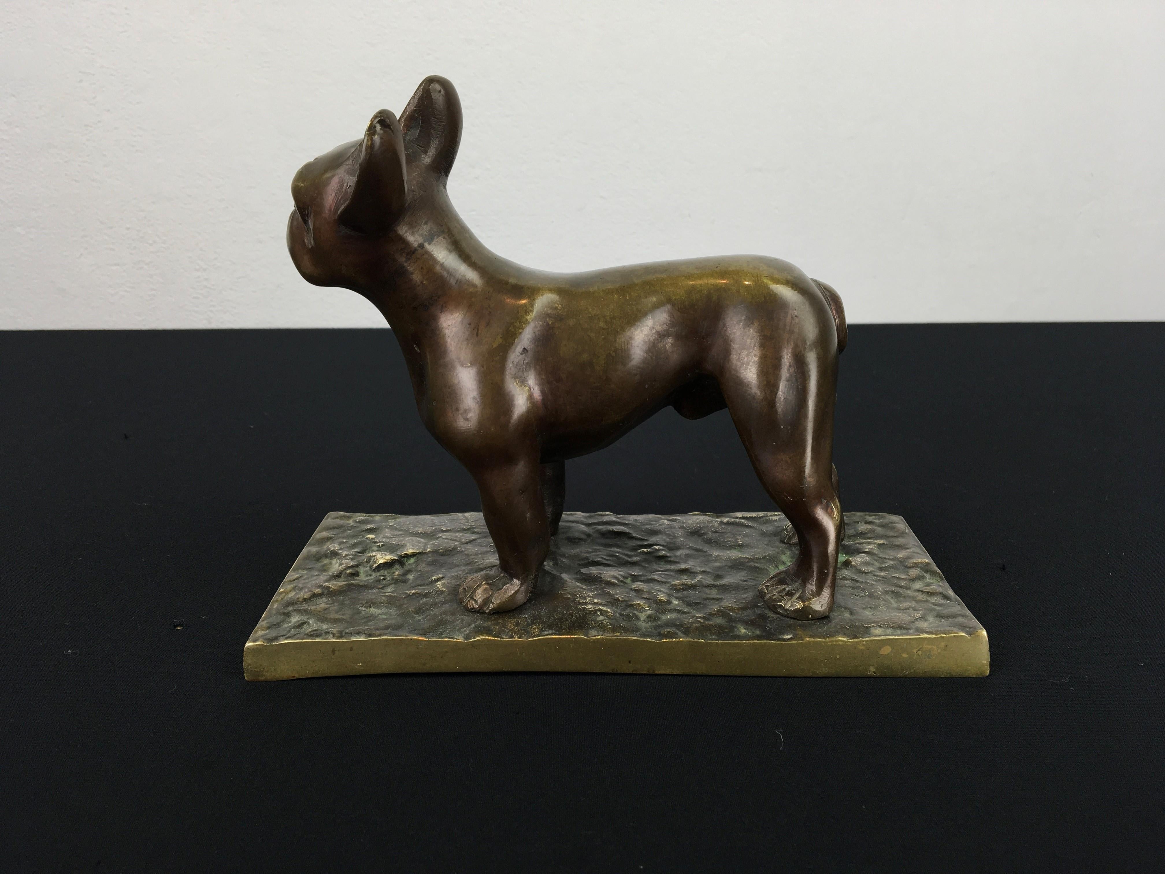 Bronze French Bulldog Sculpture 4