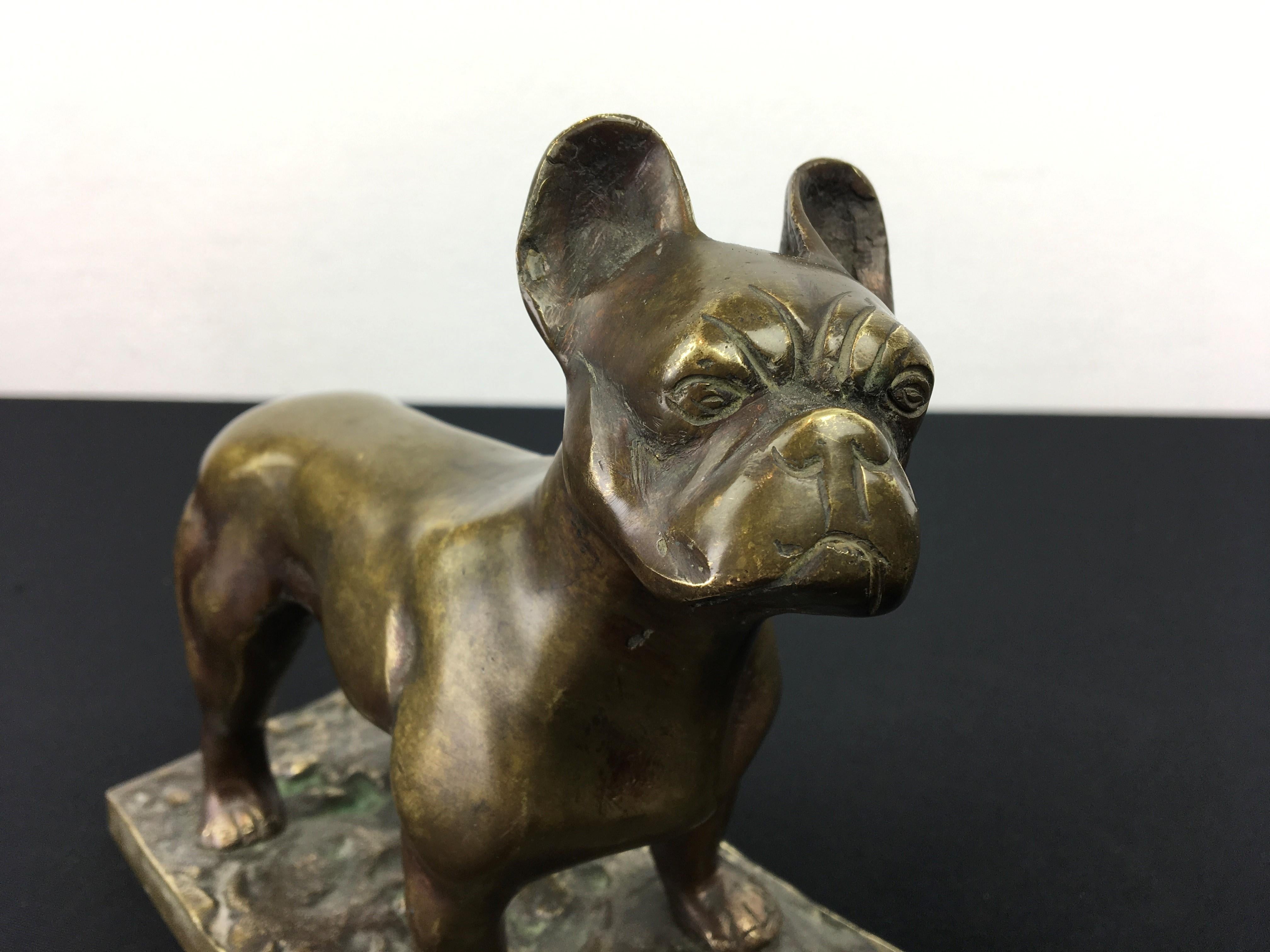 Bronze French Bulldog Sculpture 8