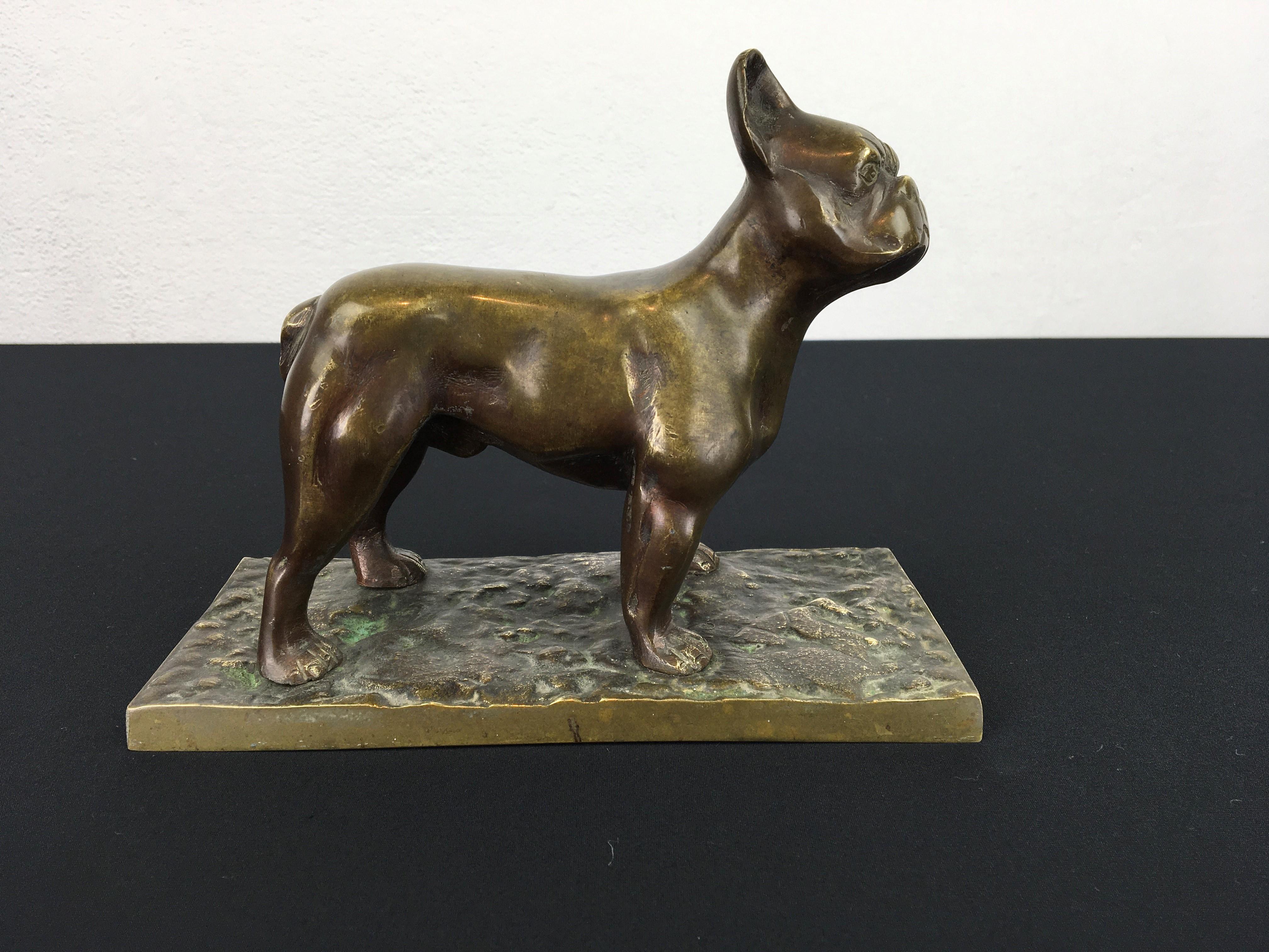 Bronze French Bulldog Sculpture 13
