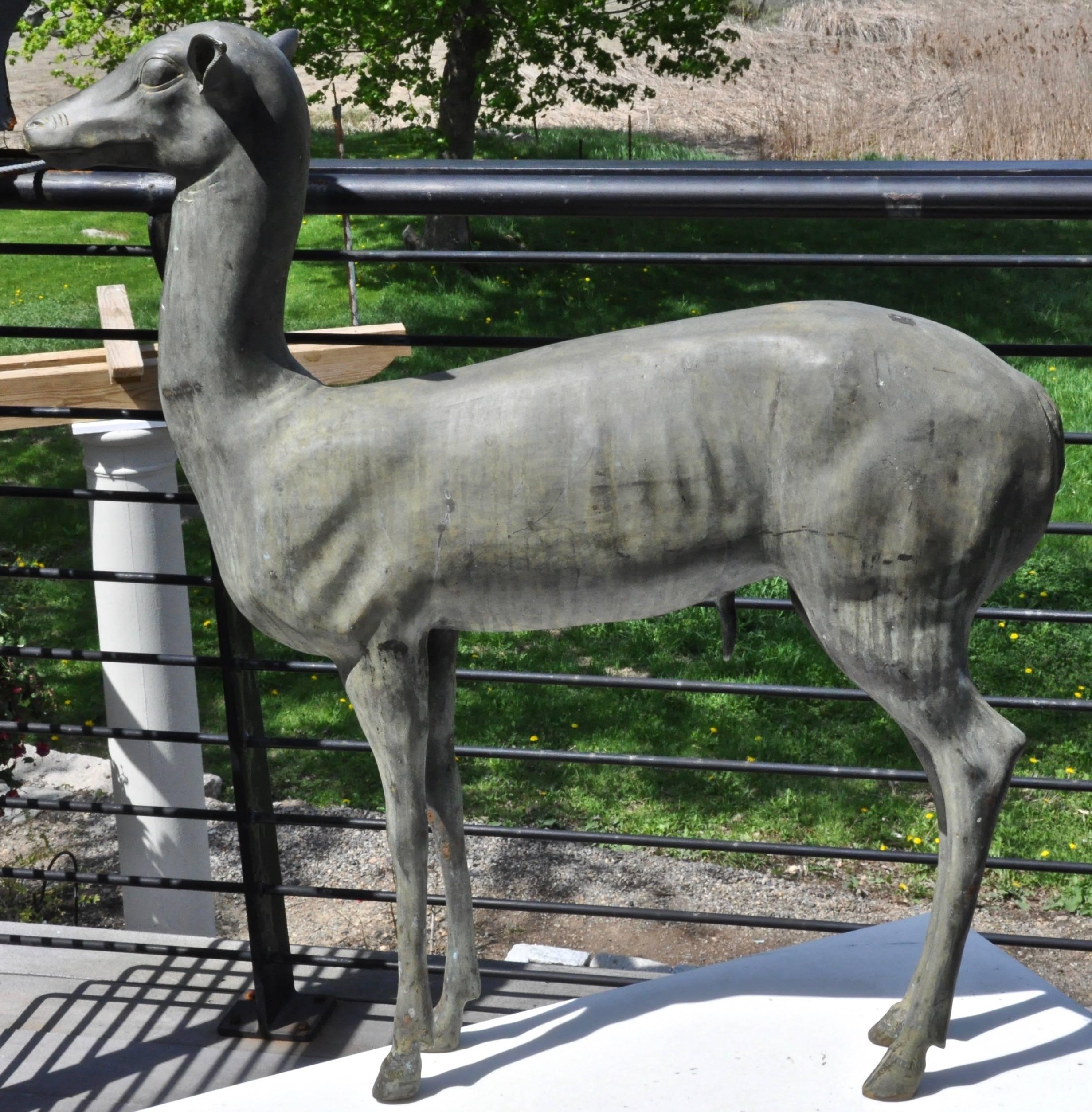 A realistic patinated bronze sculpture of a deer, copying the famous deer of Pompeii, late 19th century.

Note: A cast fawn like this one was sold at Sotheby's in 2007. In the auction listing, which attributed the casting to the F. Chiurazzi