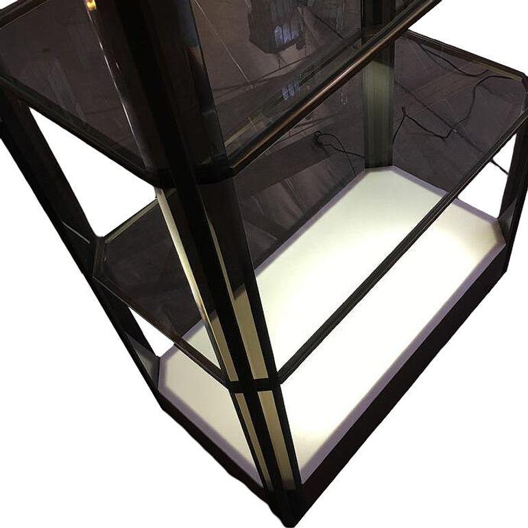 Acciaio Scaffale luminoso in vetro bronzo con accenti in acrilico fumé in vendita
