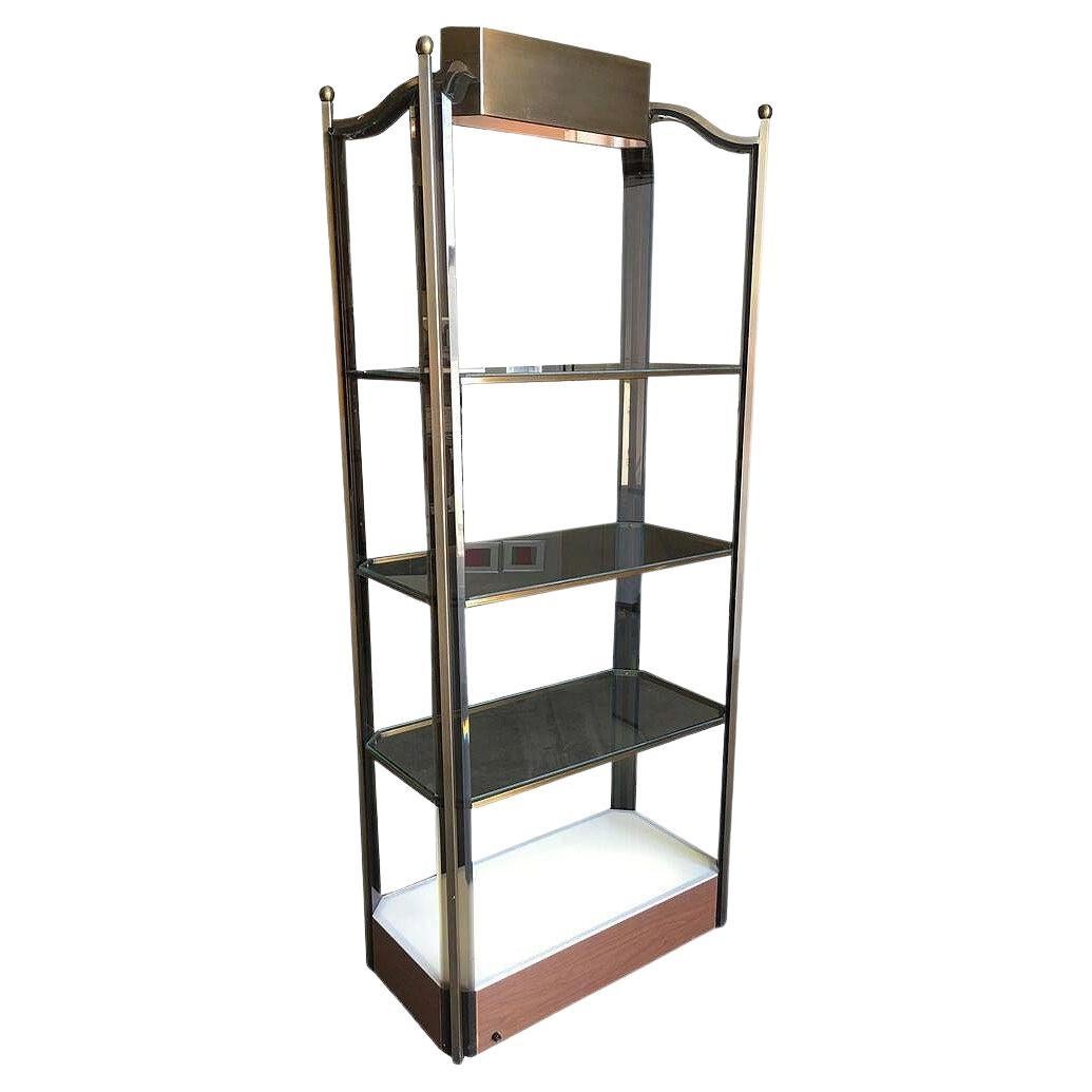 Scaffale luminoso in vetro bronzo con accenti in acrilico fumé in vendita