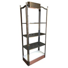Étagère lumineuse en verre et bronze avec accents en acrylique fumé