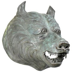 Bronze Head of a Bear