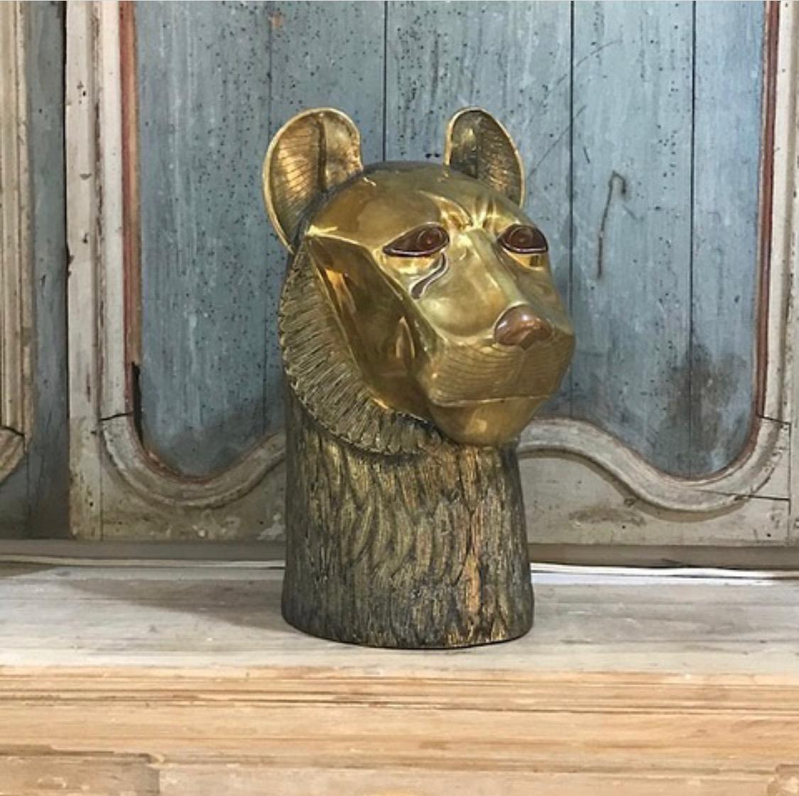Bronze Head of a Lion 4