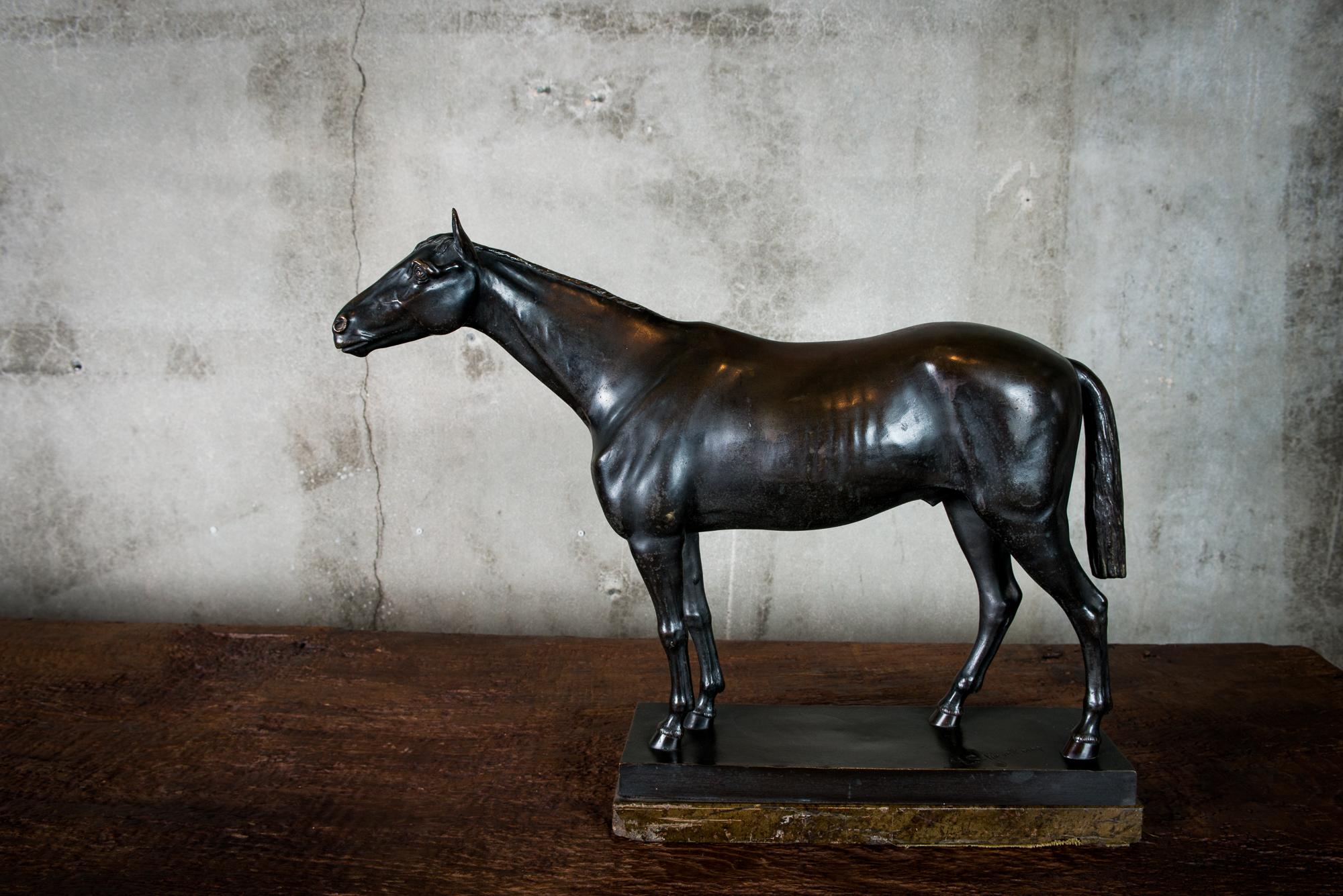 A patinated bronze sculpture of a horse by Helmut SchievelKamp (German, 1849-1890), inscribed H. SchievelKamp.