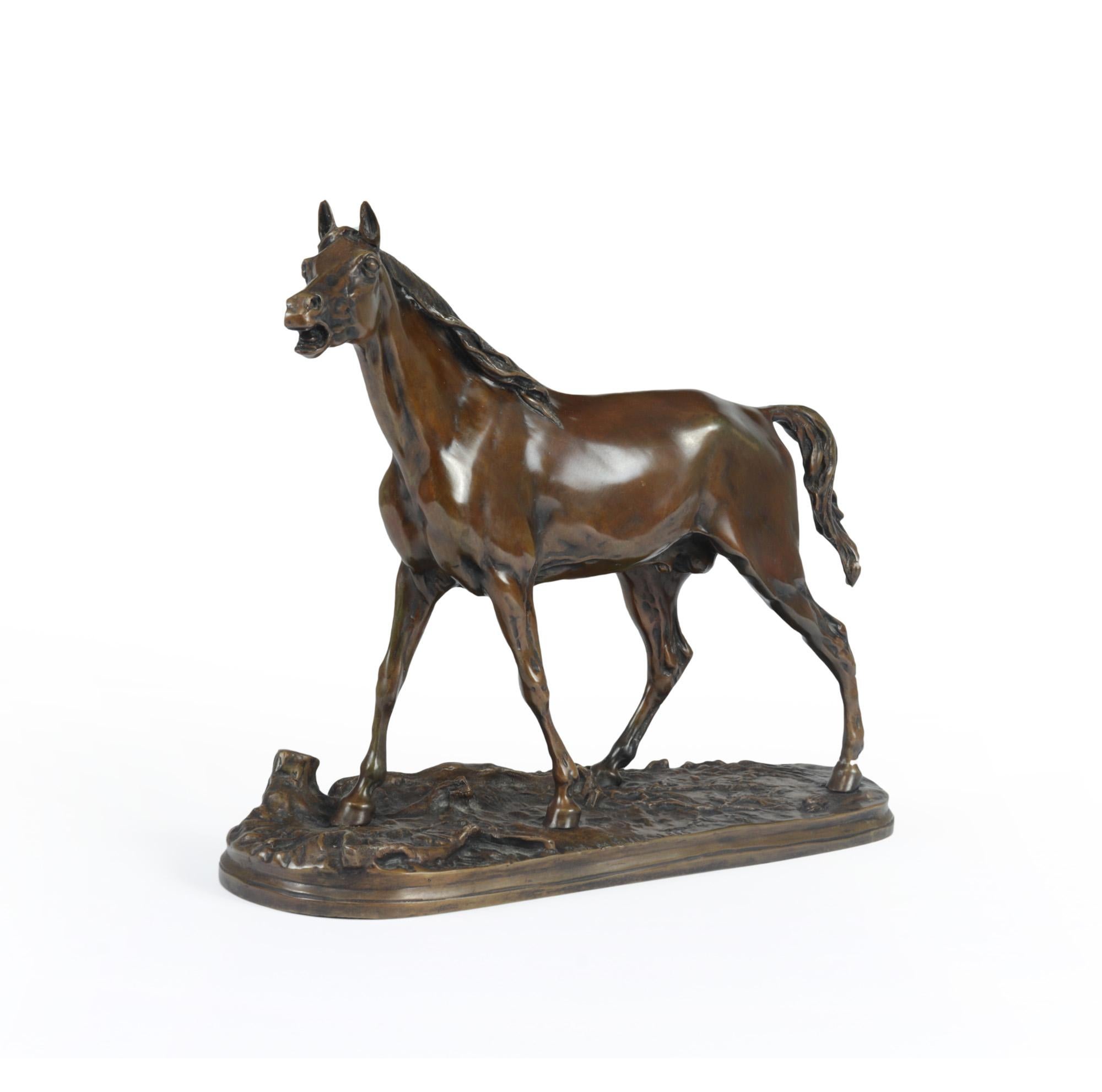 A large bronze sculpture of a stallion produced in France in the middle 19th century a lost wax casting and hand finished and years of great patination leaving this bronze with a great colour, Piere-Jules Mêne was a self-taught artist, and dedicated