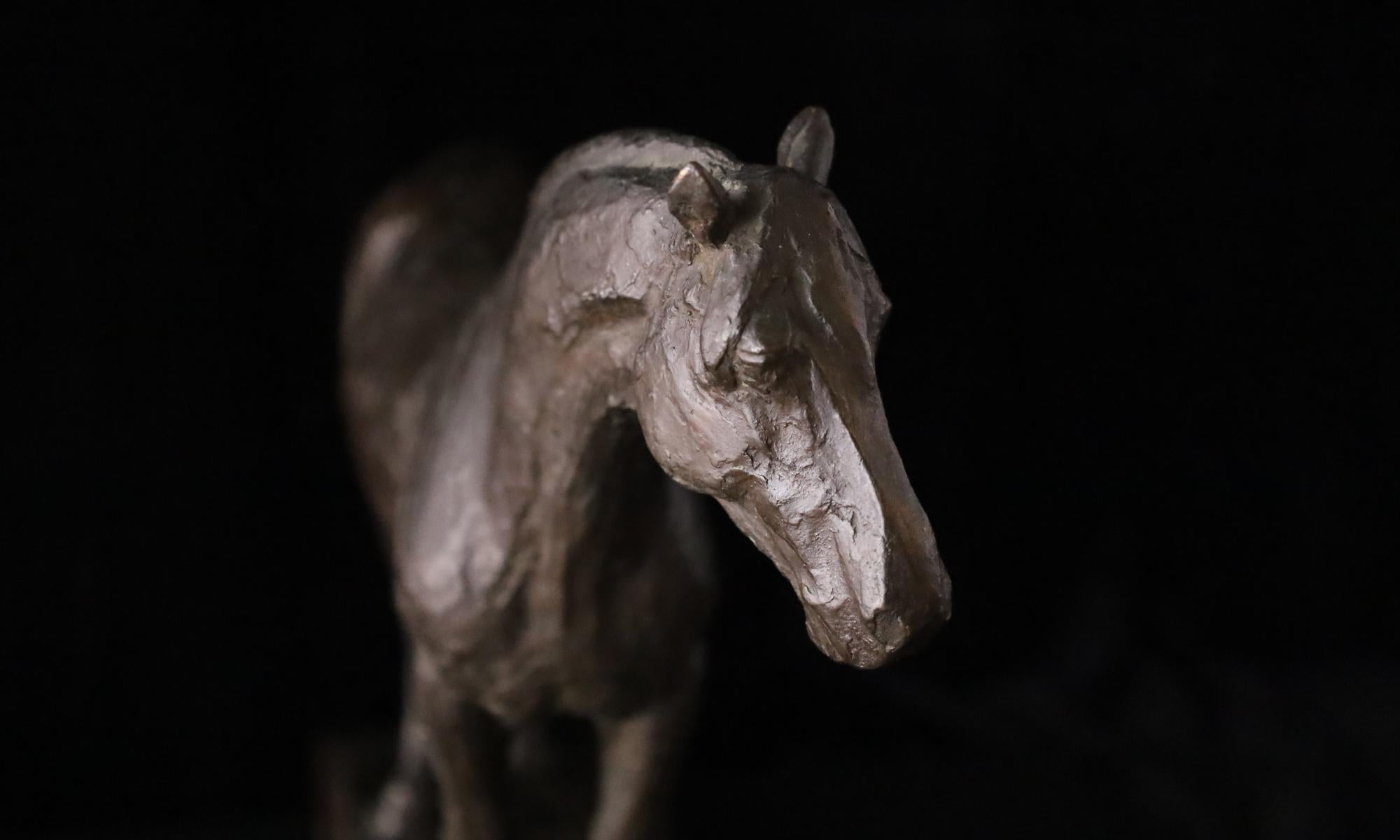 Scultura di cavallo in bronzo - Firmata Takanoshi, Giappone, 1933 in vendita 5