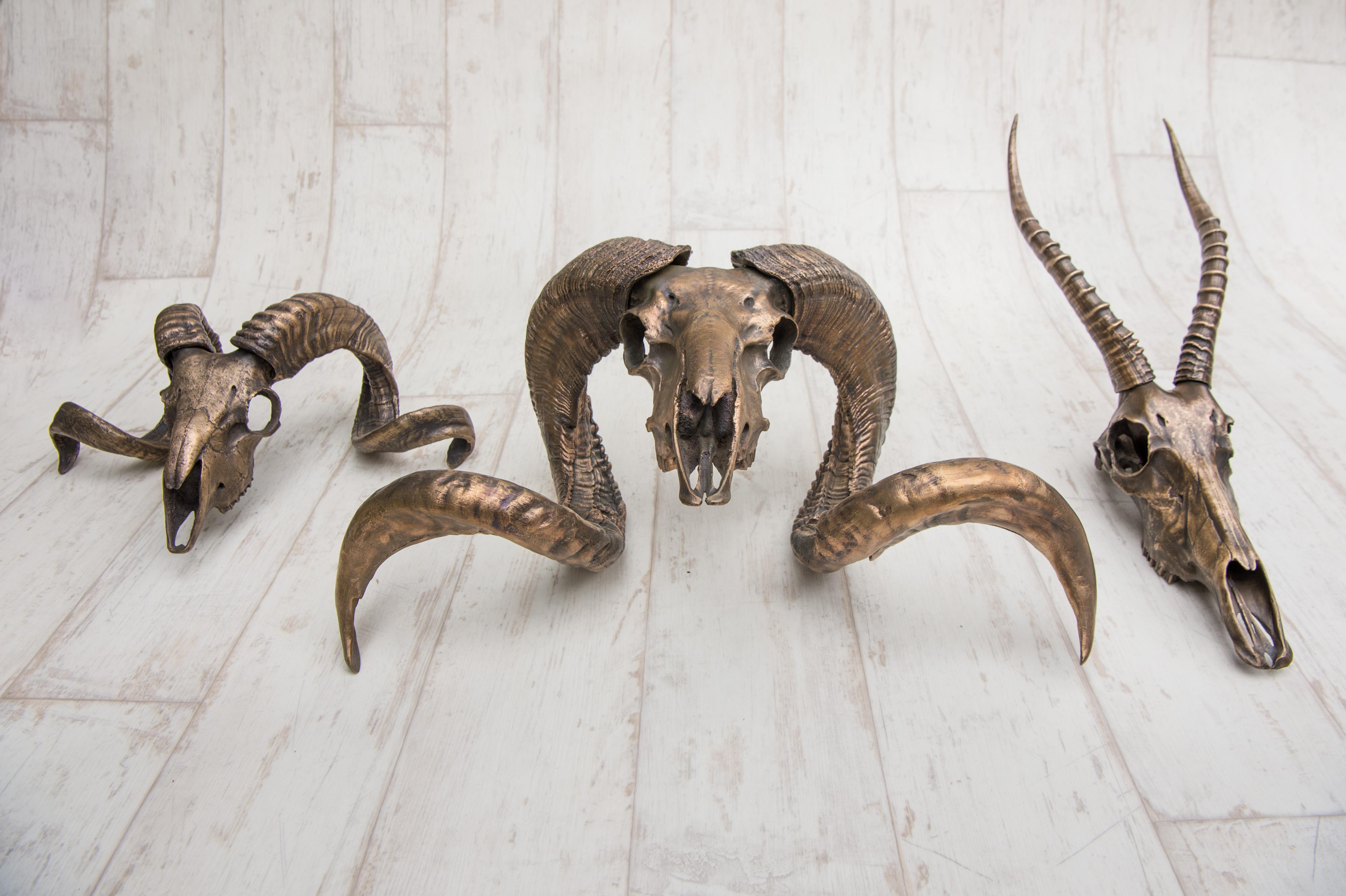 Dekorativer Impala- Totenkopf aus Bronze für Tischakzent oder Wandhalterung (Poliert) im Angebot