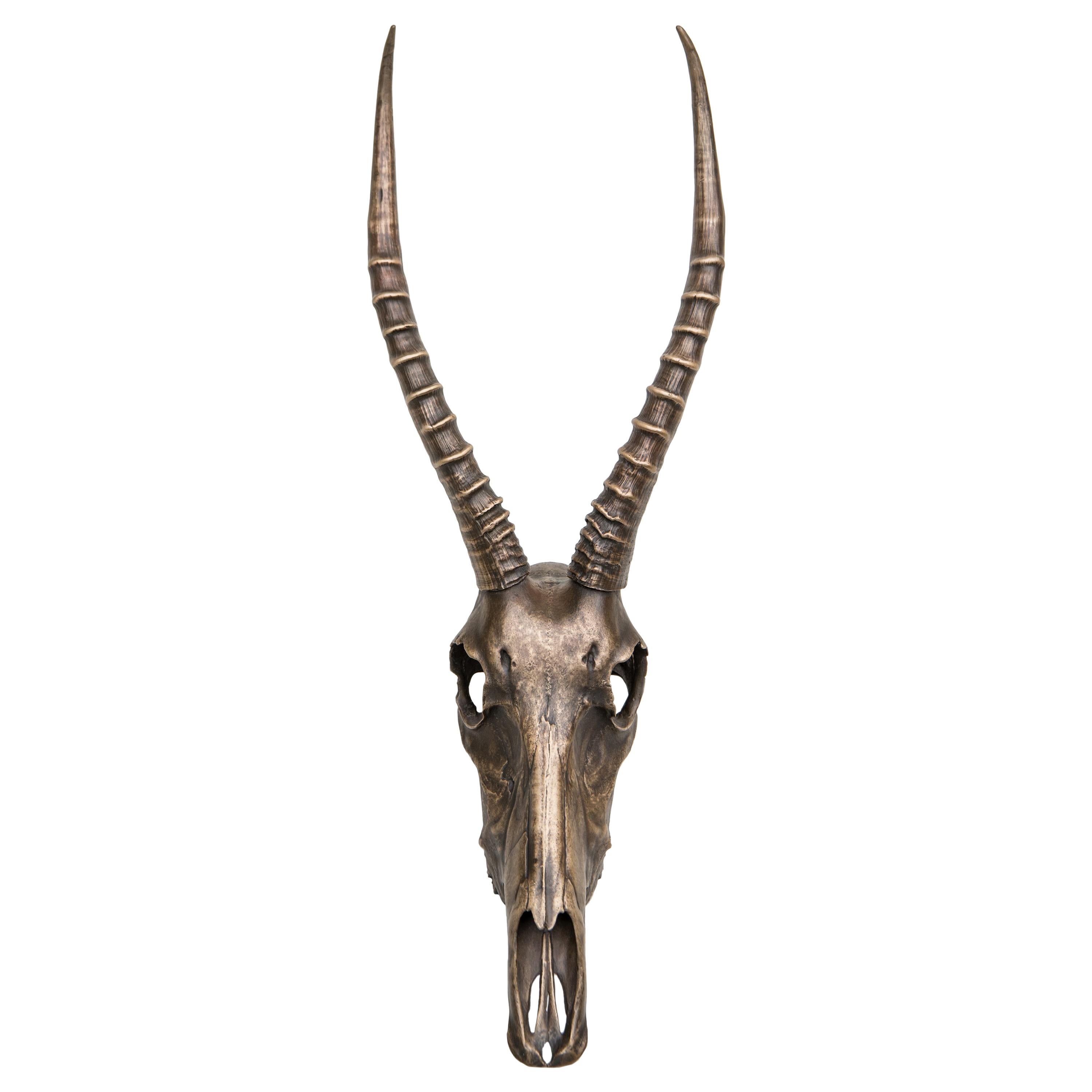 Dekorativer Impala- Totenkopf aus Bronze für Tischakzent oder Wandhalterung im Angebot