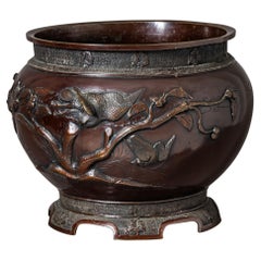 Decorative Objects