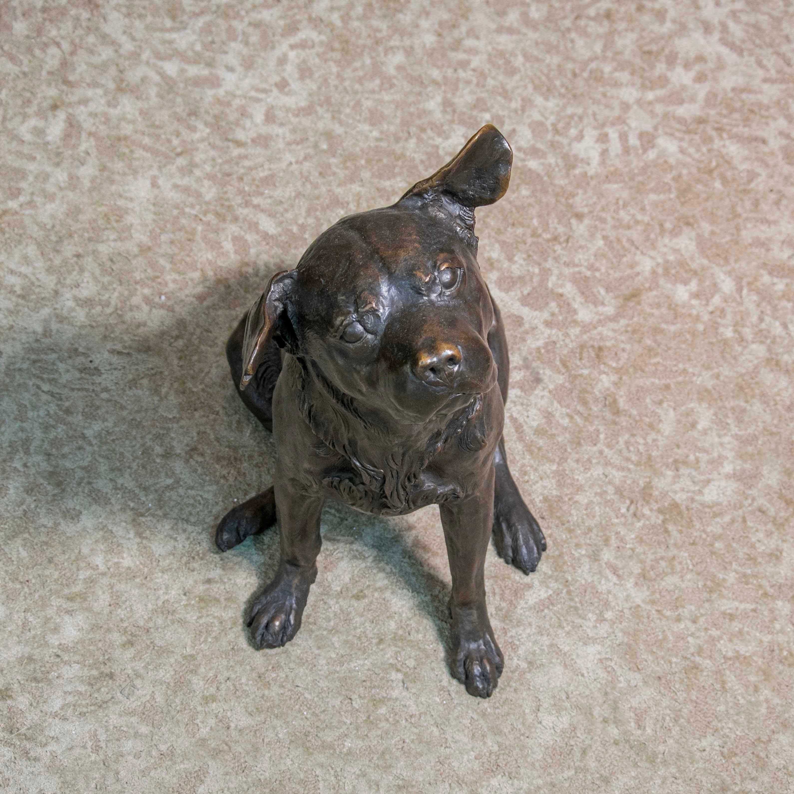 Vintage Bronze Animalier Labrador Dog Sculpture by Franz Canins 2