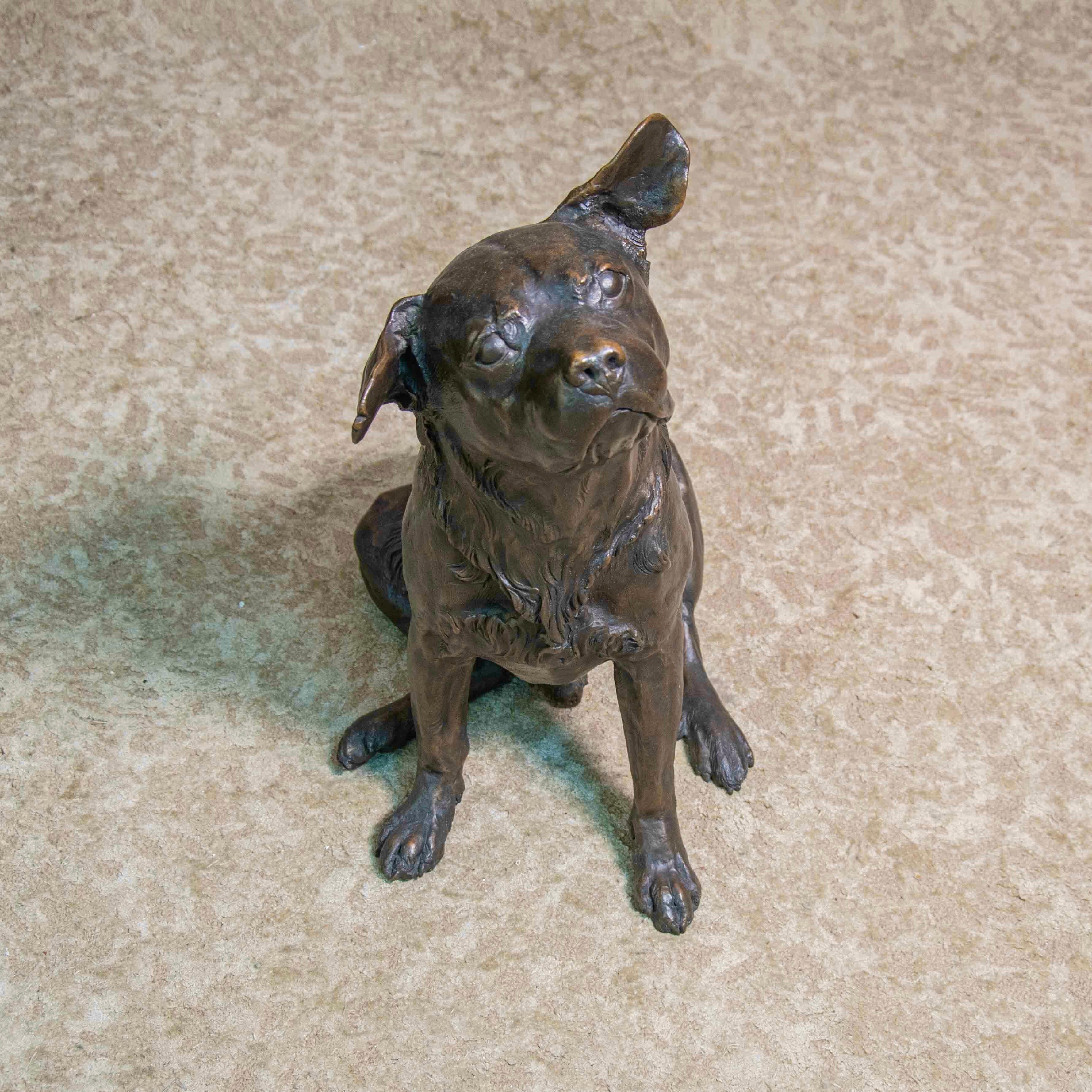 Signed bronze sculpture, depicting a young Labrador Retriever dog.
Signed by Franz Canin at the tip of the tail.
 