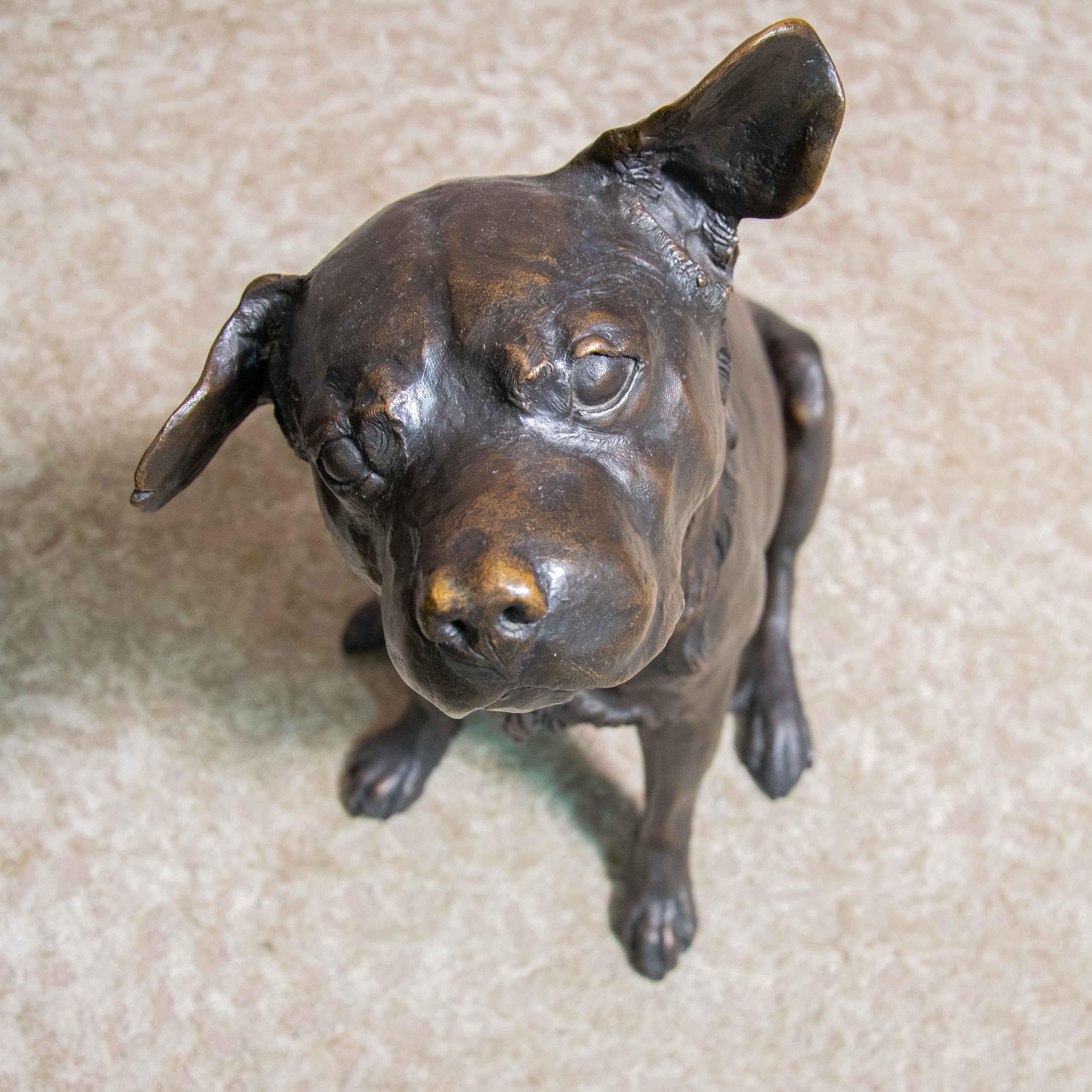 Vintage Bronze Animalier Labrador Dog Sculpture by Franz Canins In Excellent Condition In Roma, IT
