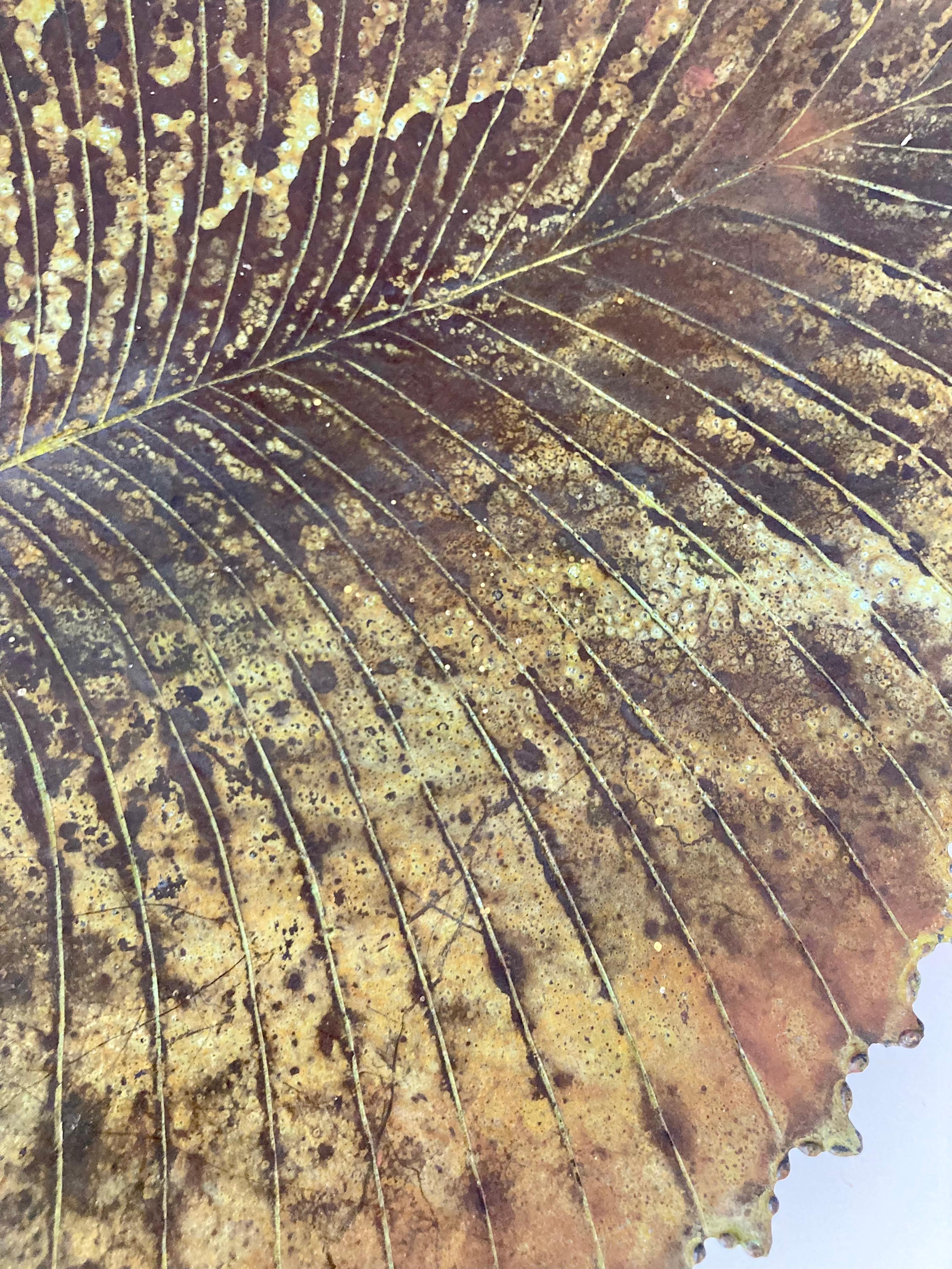 Bronze Leaf Centerpiece Sculpture #6 For Sale 5